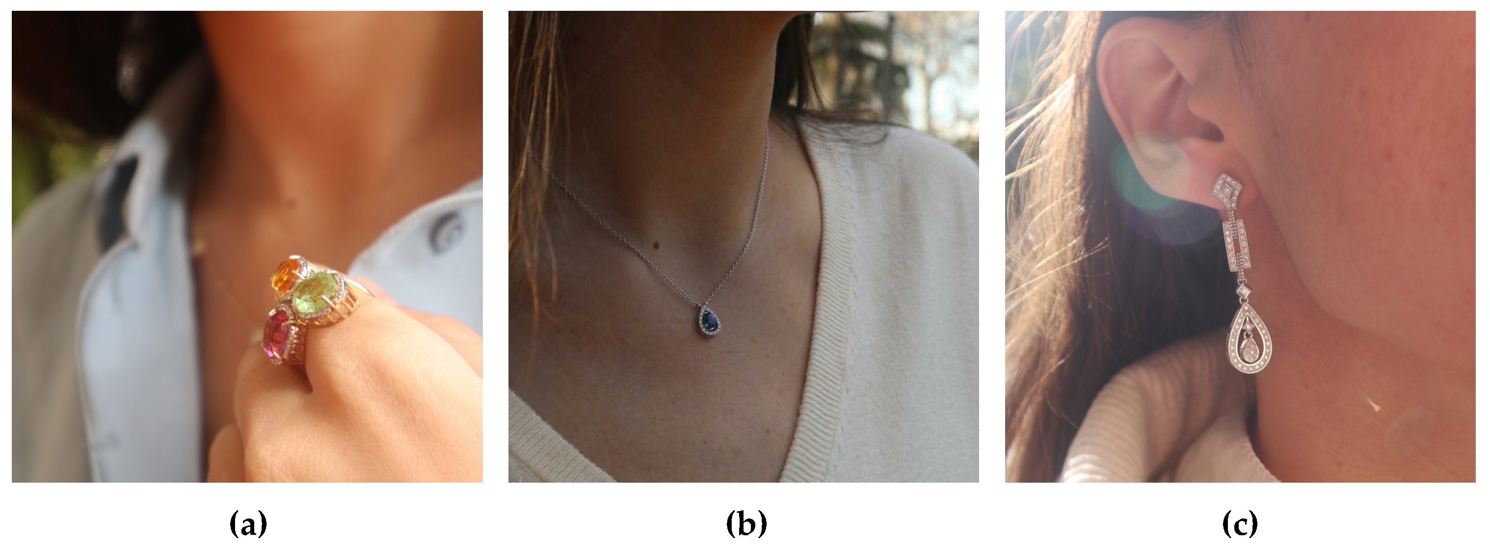 Applsci 15 05538 g001