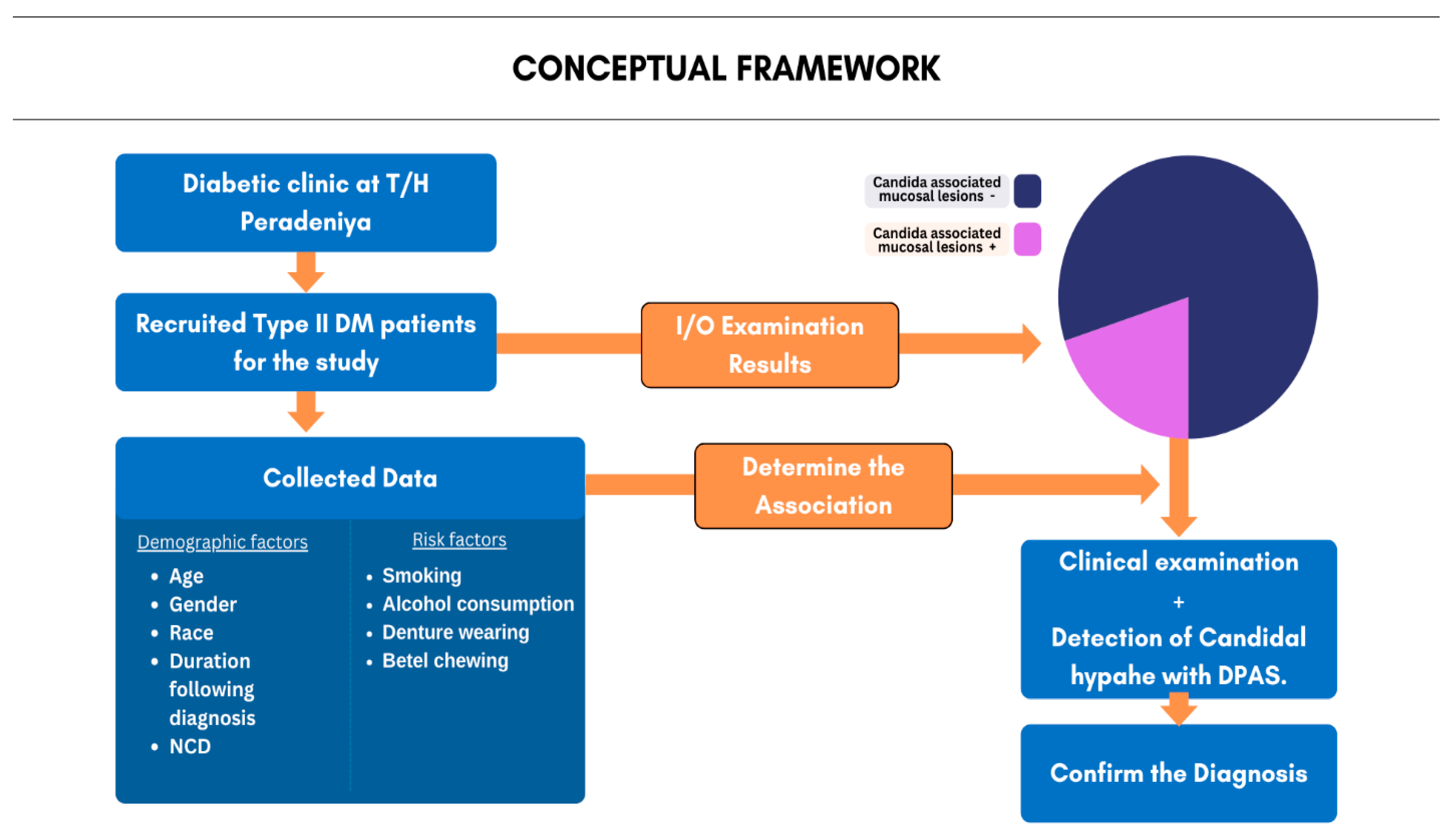 Applsci 15 05539 g001