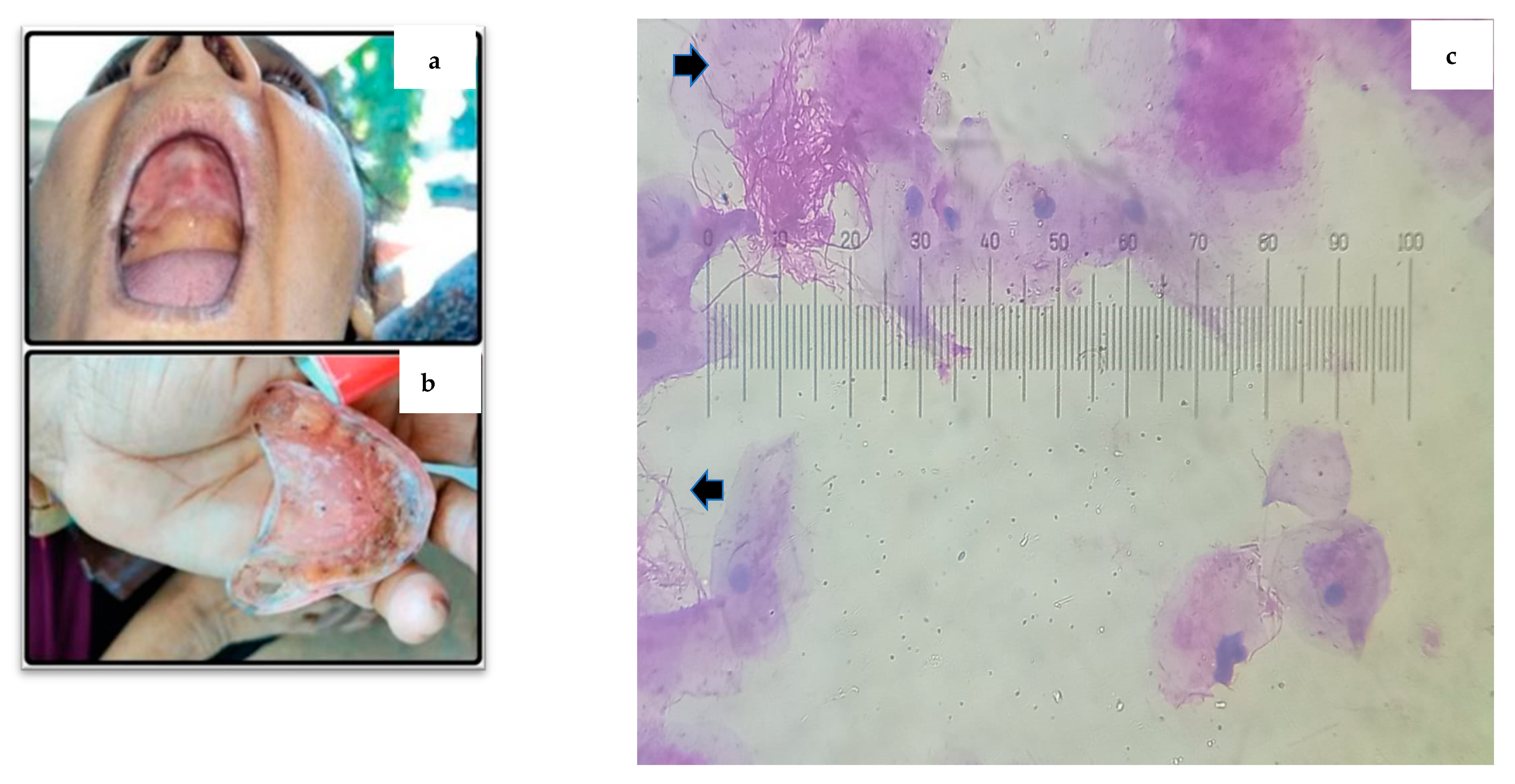 Applsci 15 05539 g004