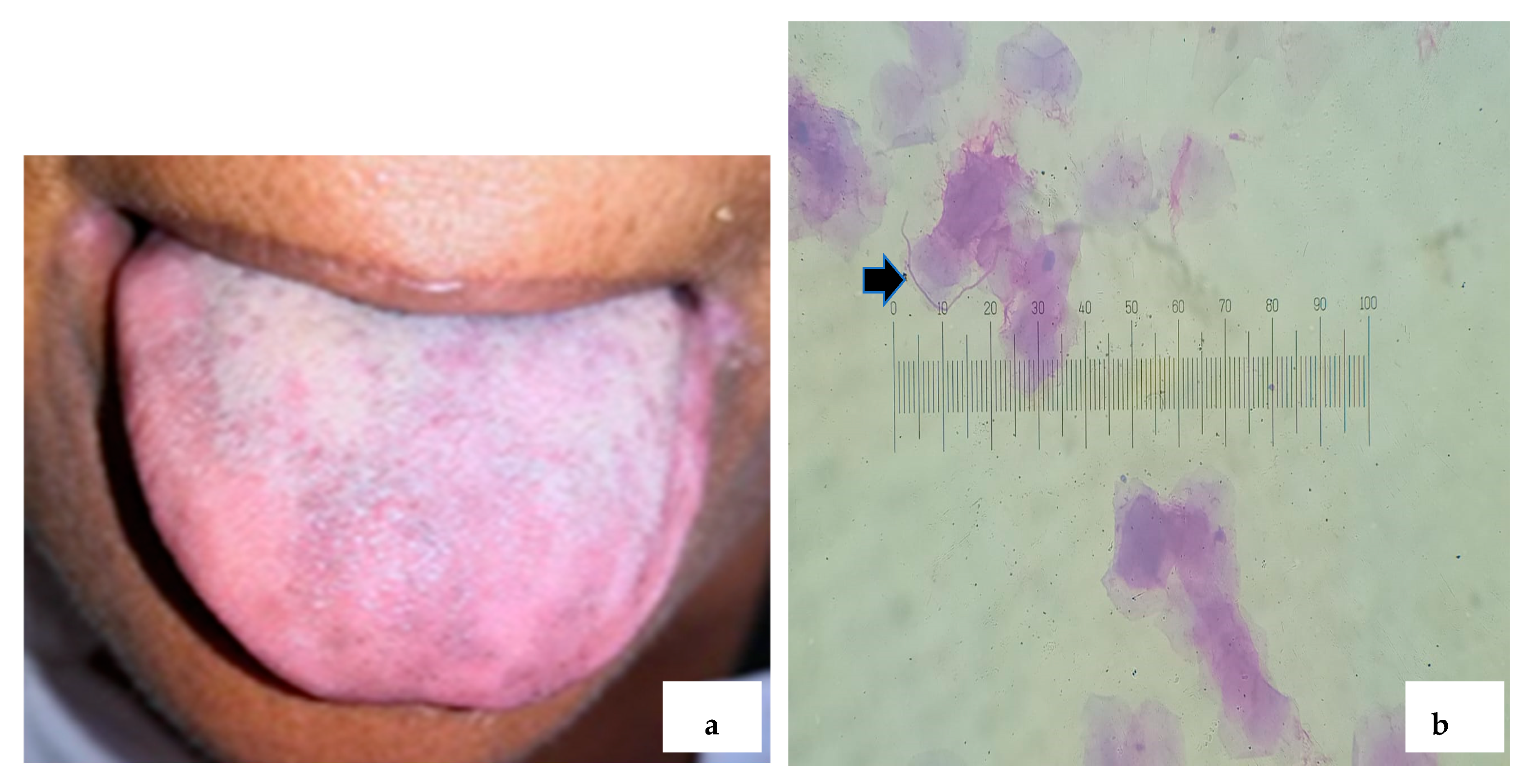 Applsci 15 05539 g005