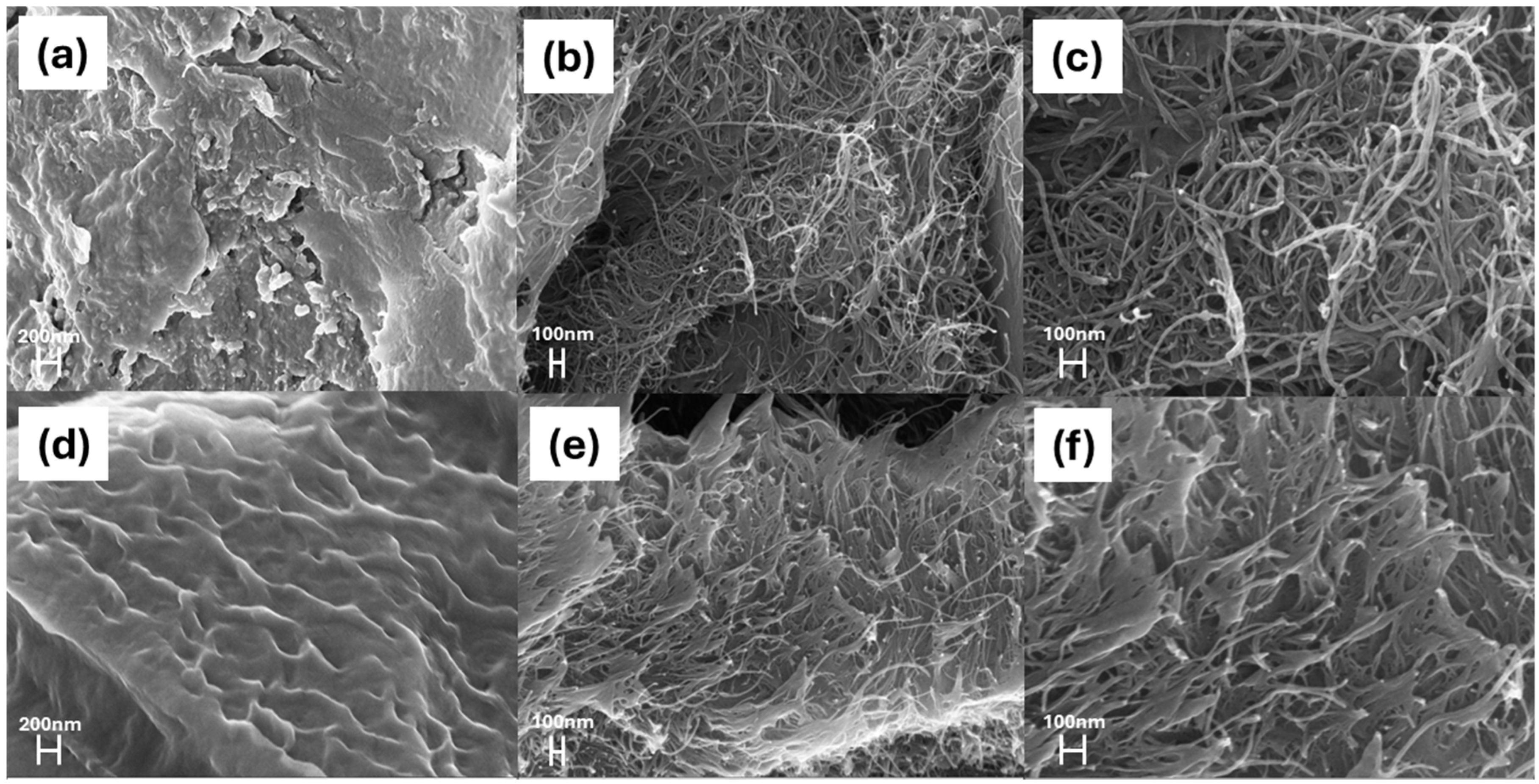 Applsci 15 05557 g001