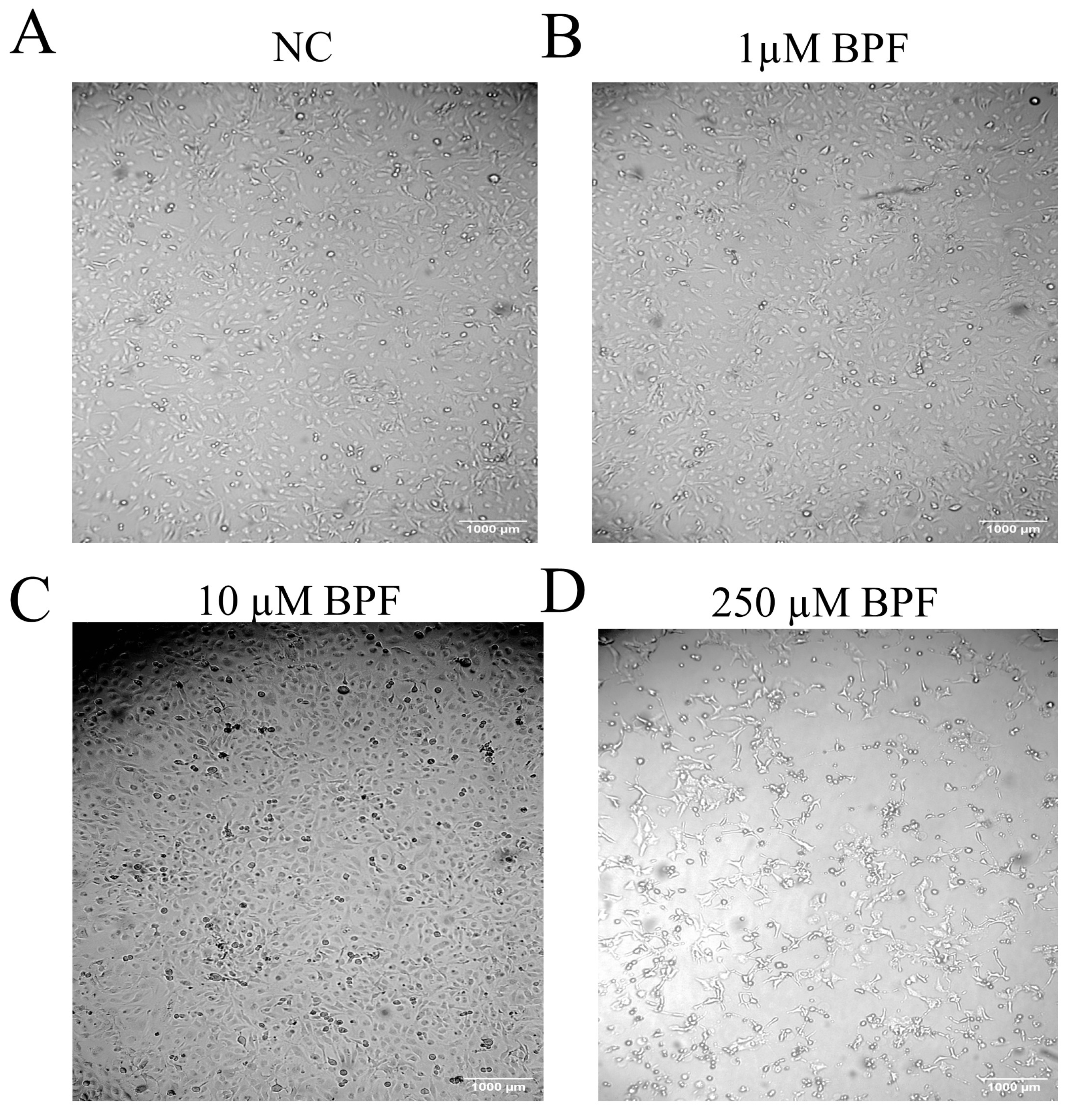 Applsci 15 05561 g002