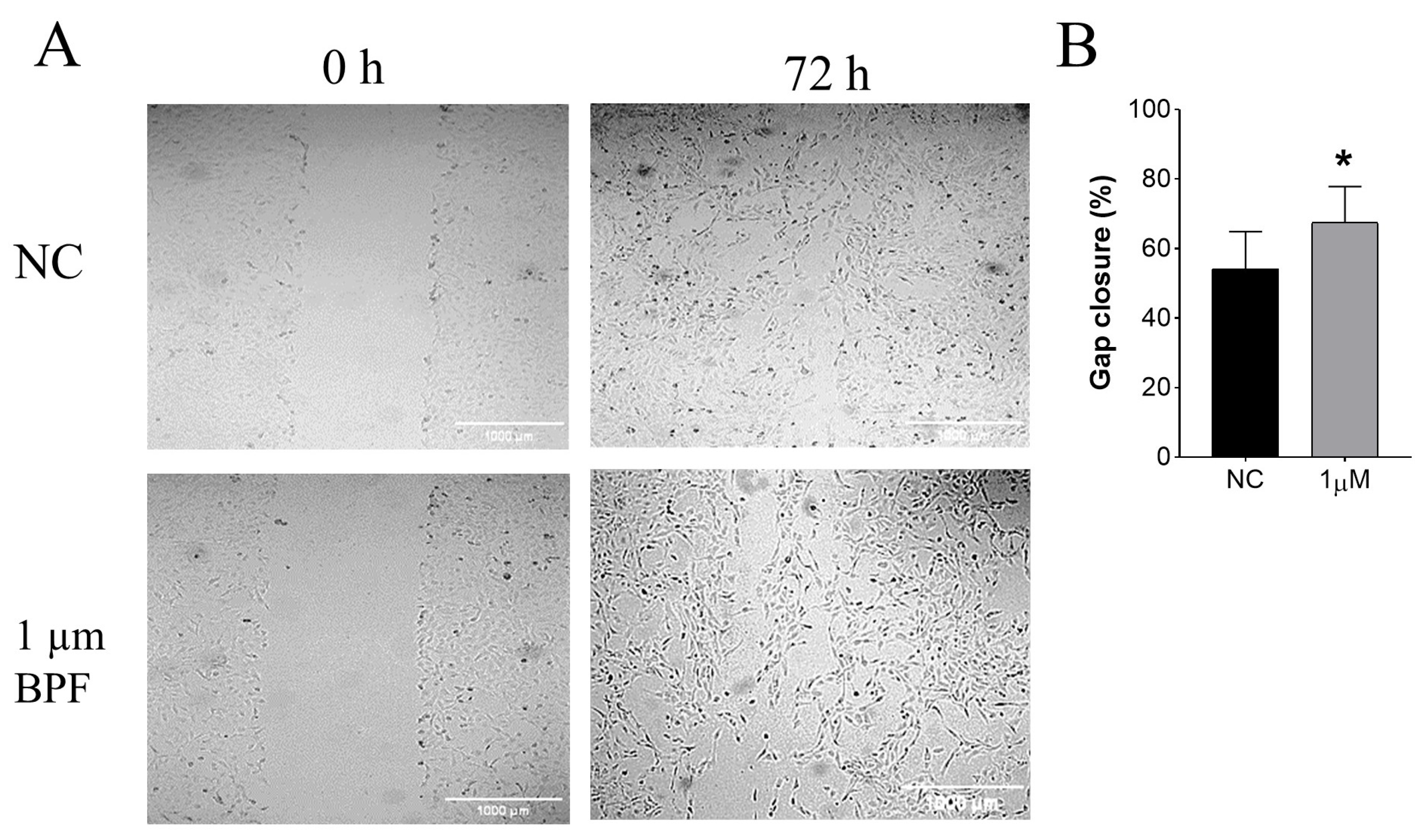 Applsci 15 05561 g003