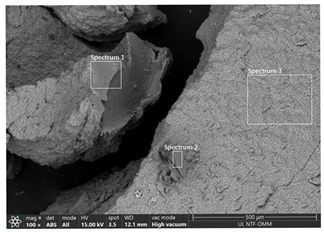 Applsci 15 05563 i002