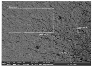 Applsci 15 05563 i003