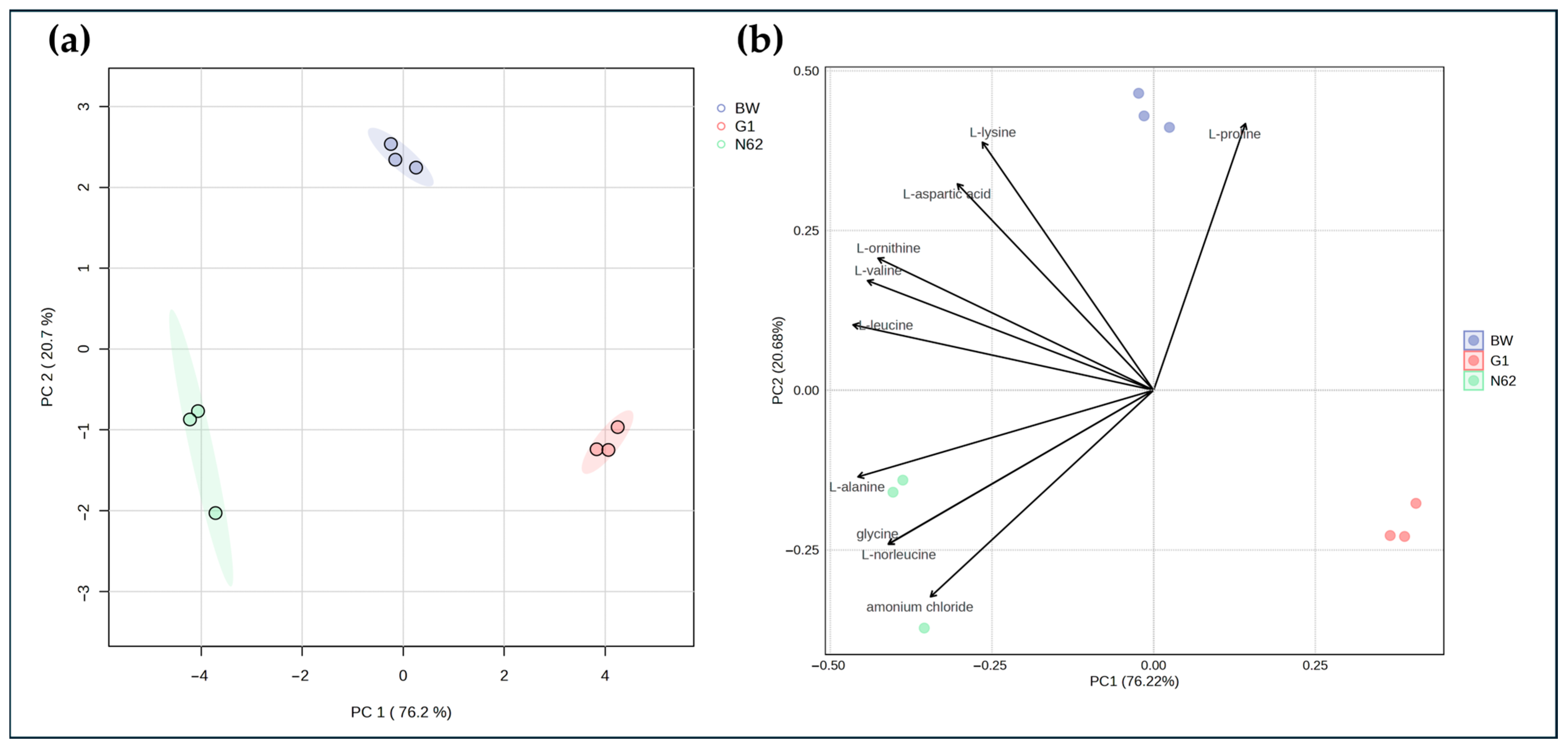 Applsci 15 05579 g001