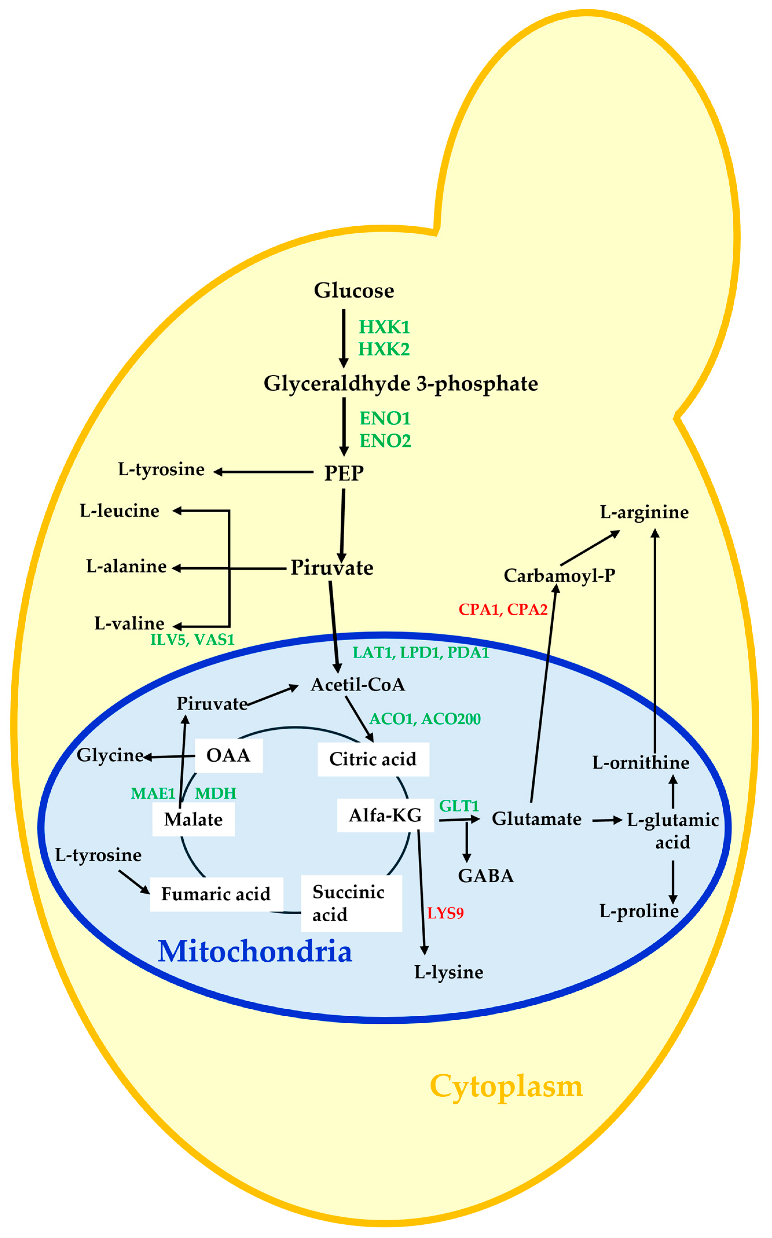 Applsci 15 05579 g007