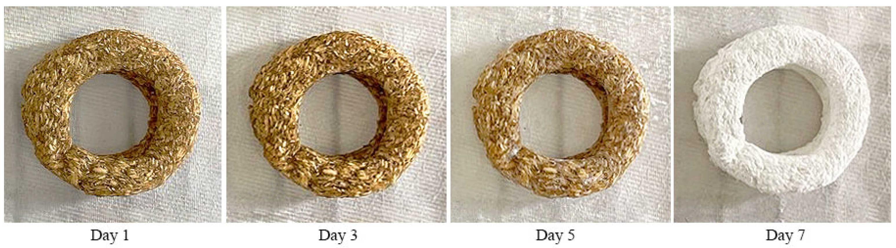 Applsci 15 05587 g009