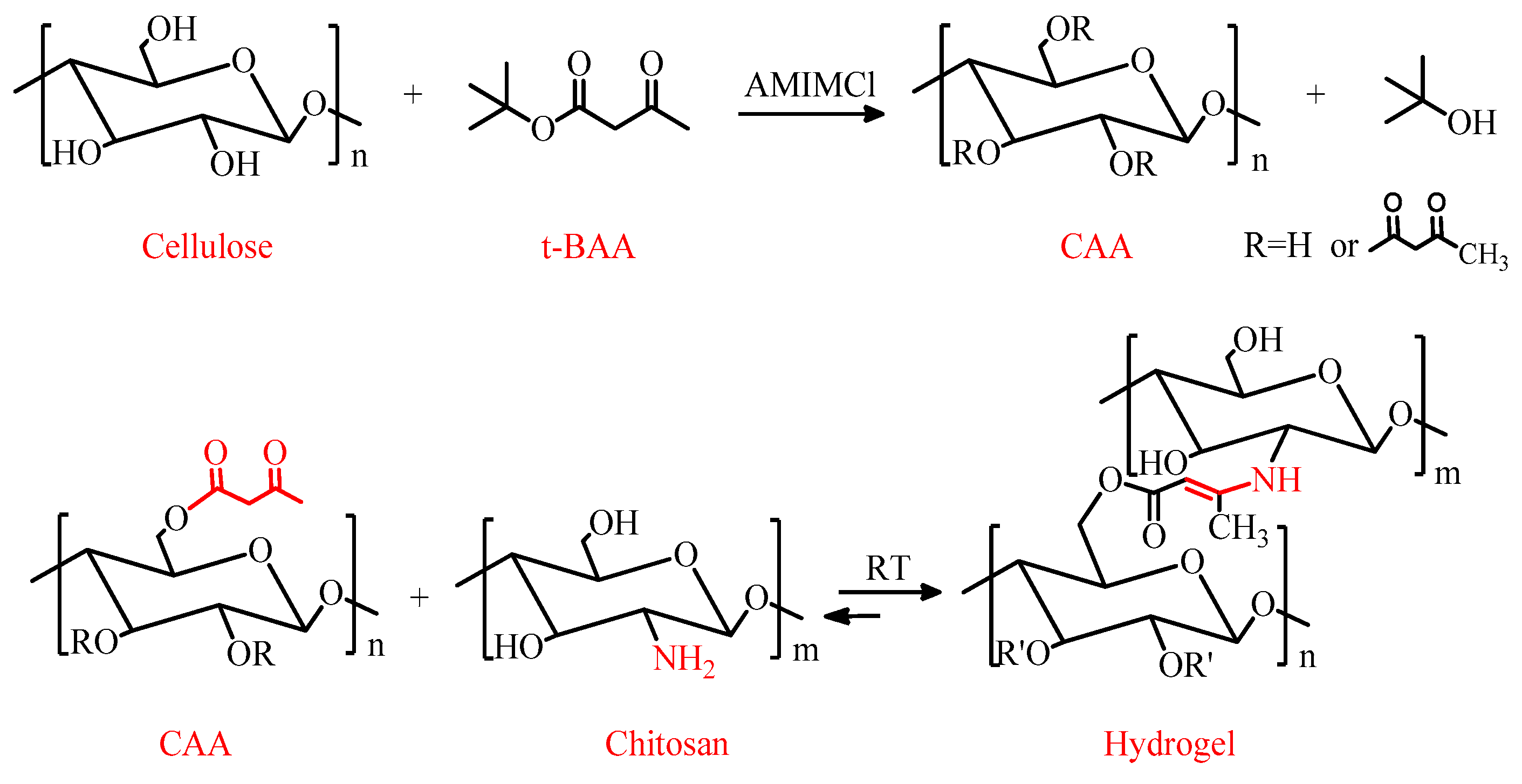 Applsci 15 05601 g001