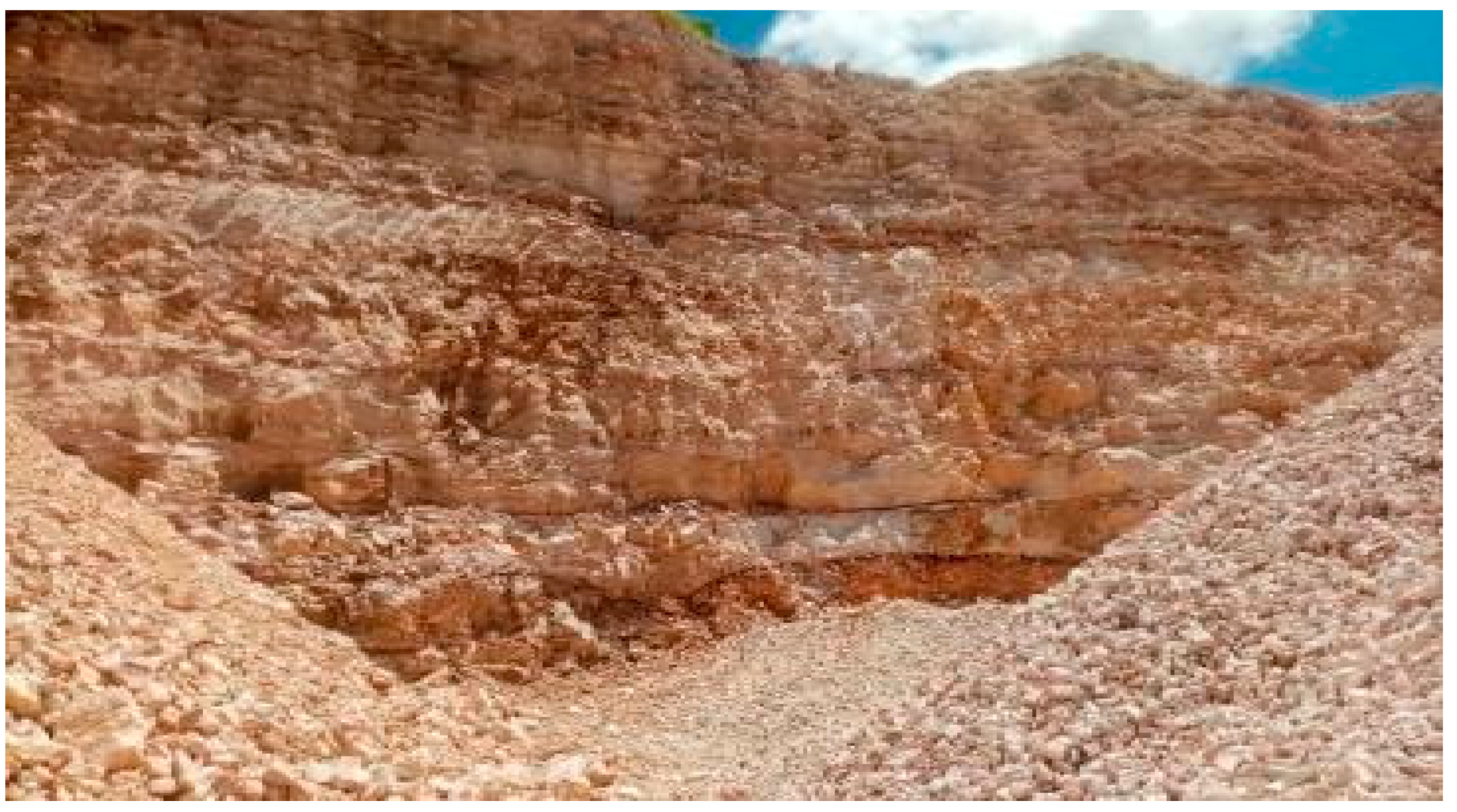 Applsci 15 05609 g002