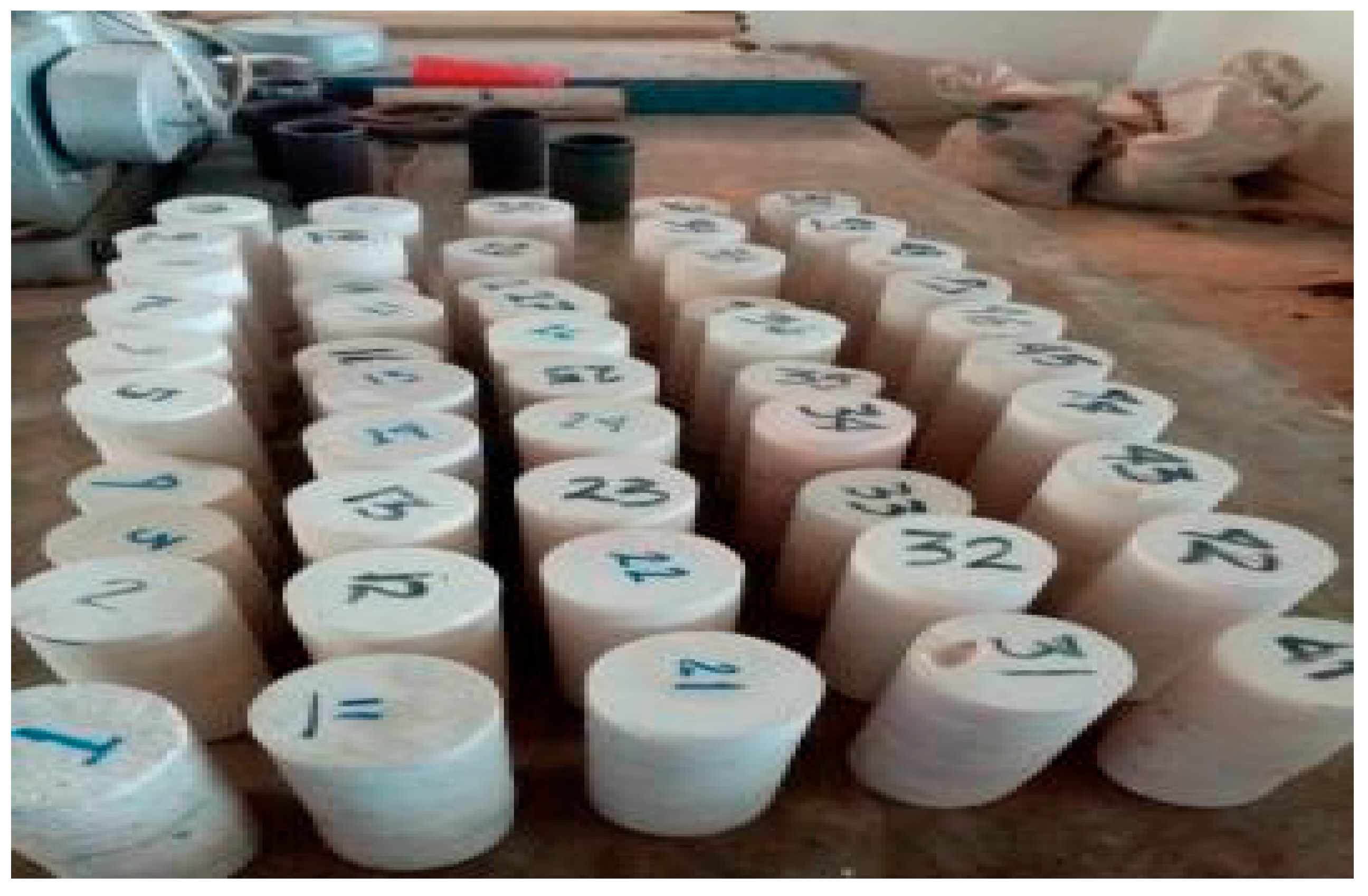 Applsci 15 05609 g003