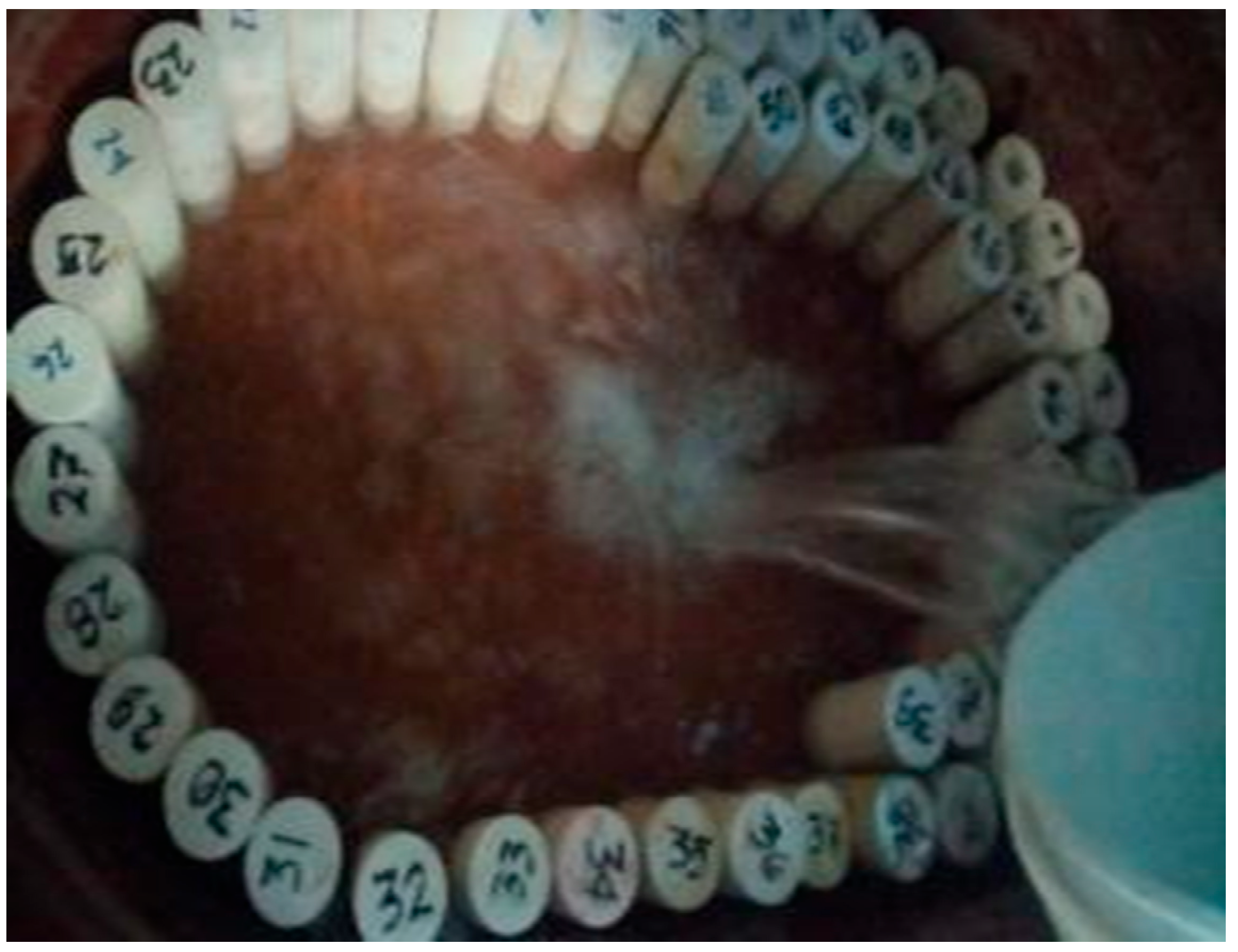 Applsci 15 05609 g006