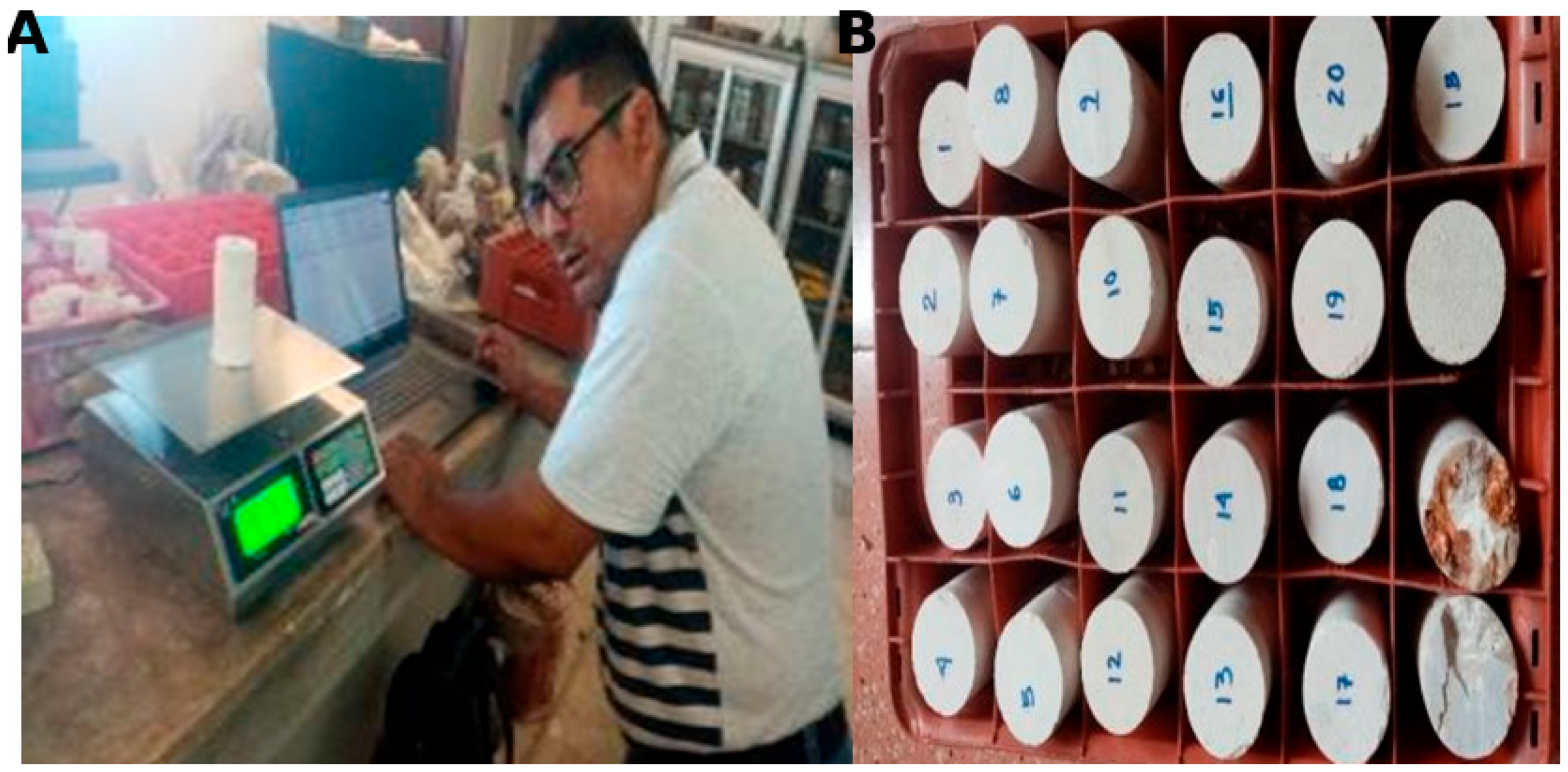 Applsci 15 05609 g007