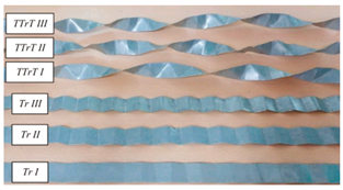 Applsci 15 05612 i005