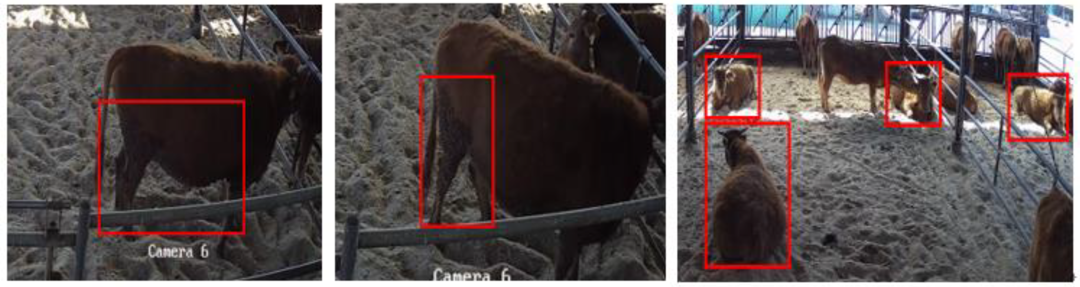 Applsci 15 05638 g003