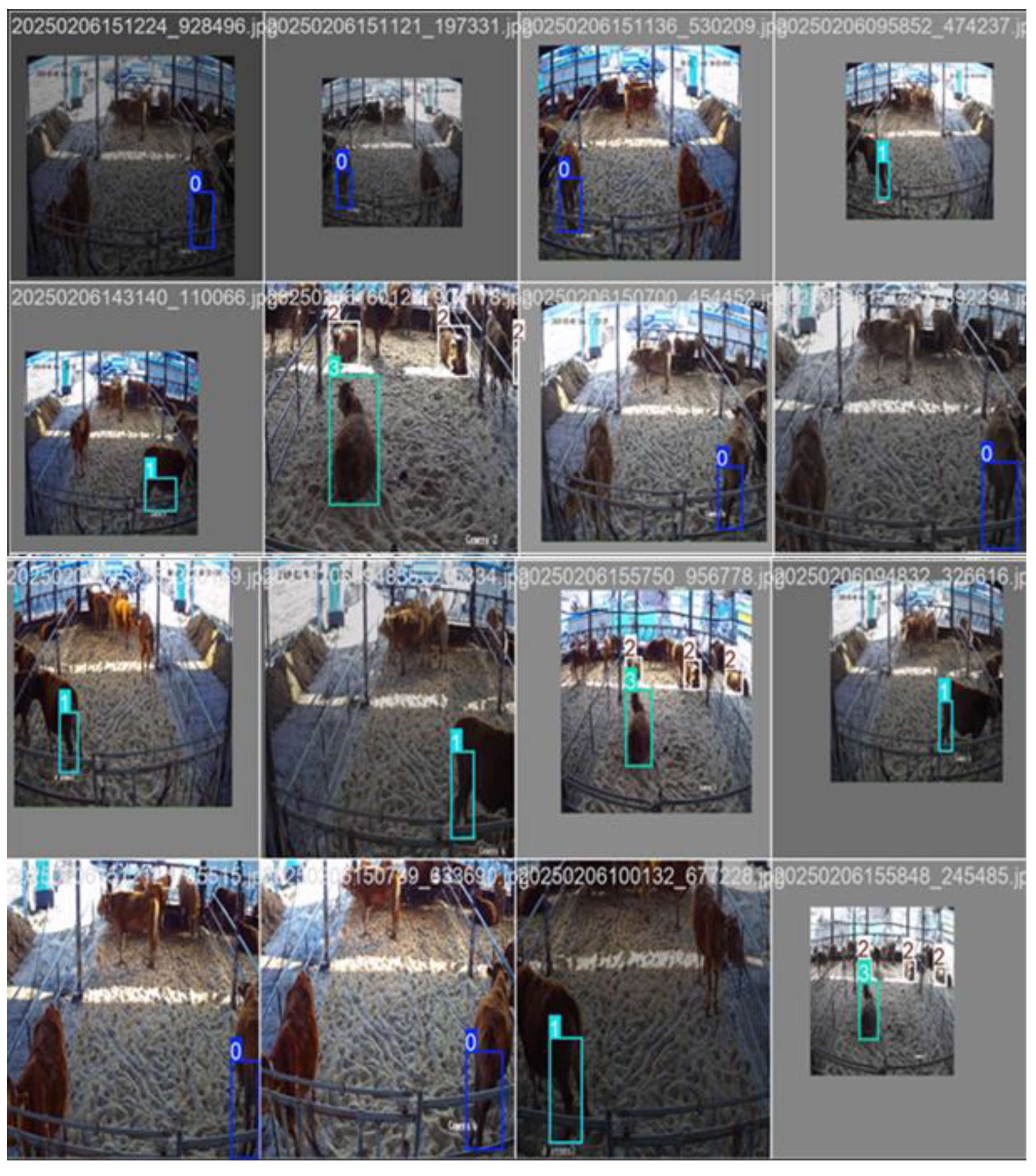 Applsci 15 05638 g004