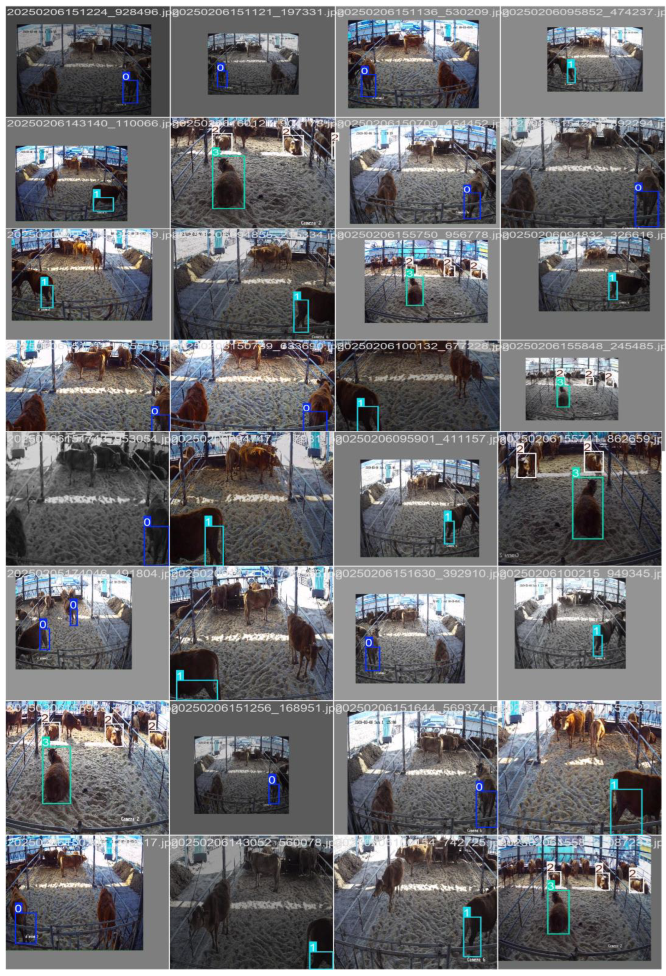 Applsci 15 05638 g016a