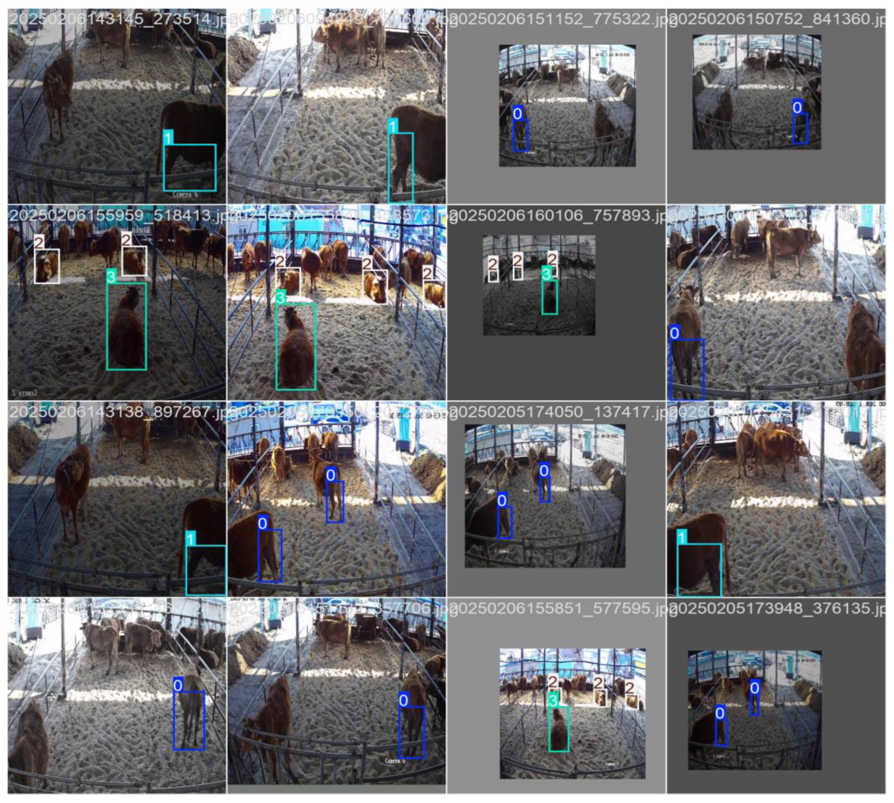 Applsci 15 05638 g016b