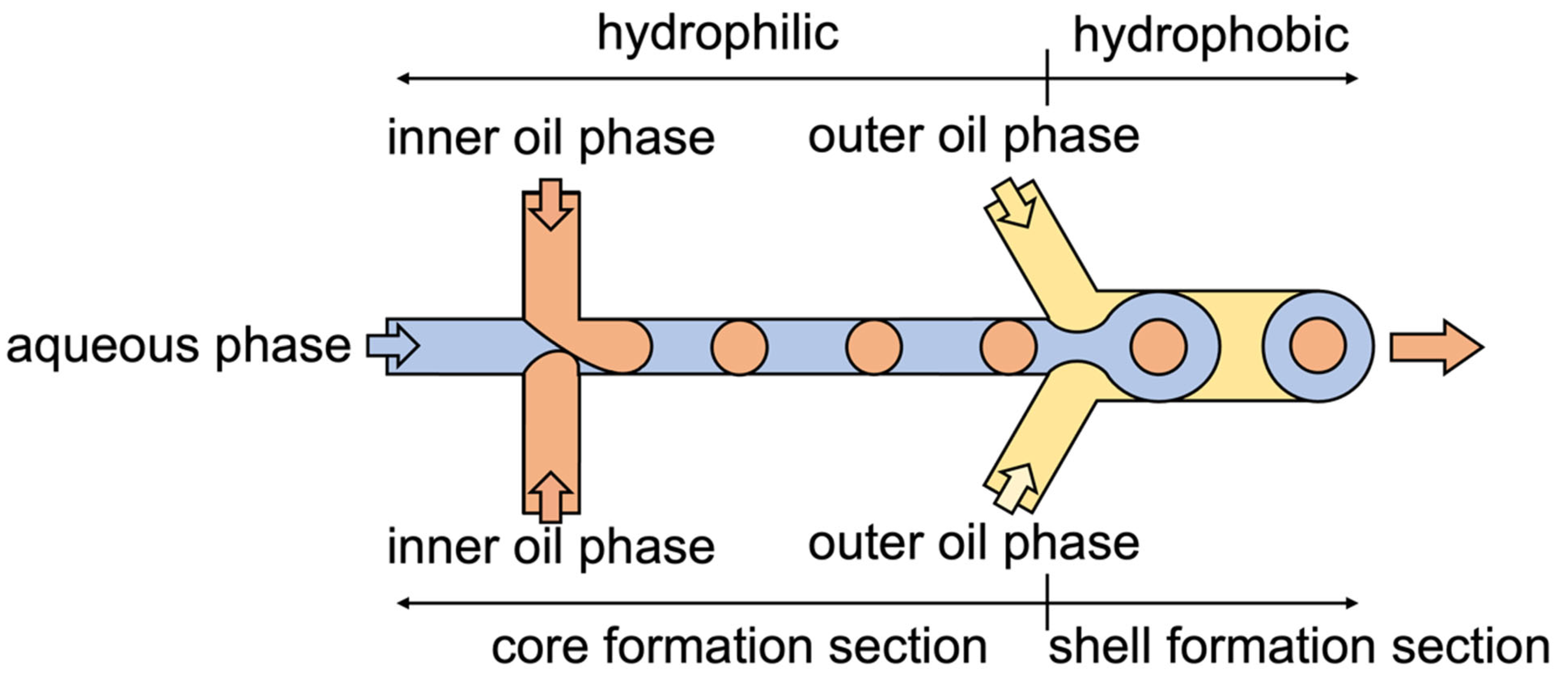 Applsci 15 05650 g001