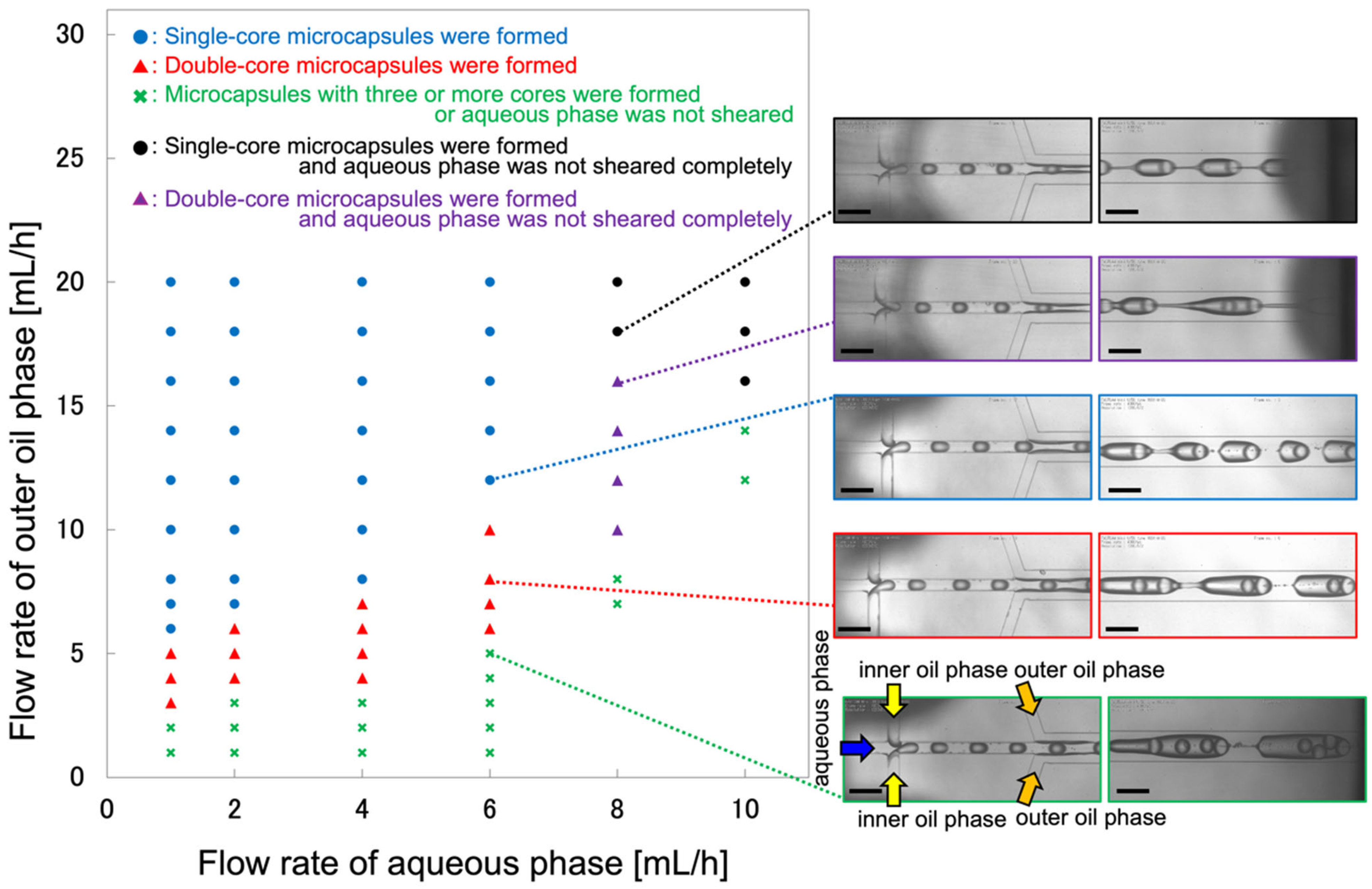 Applsci 15 05650 g002