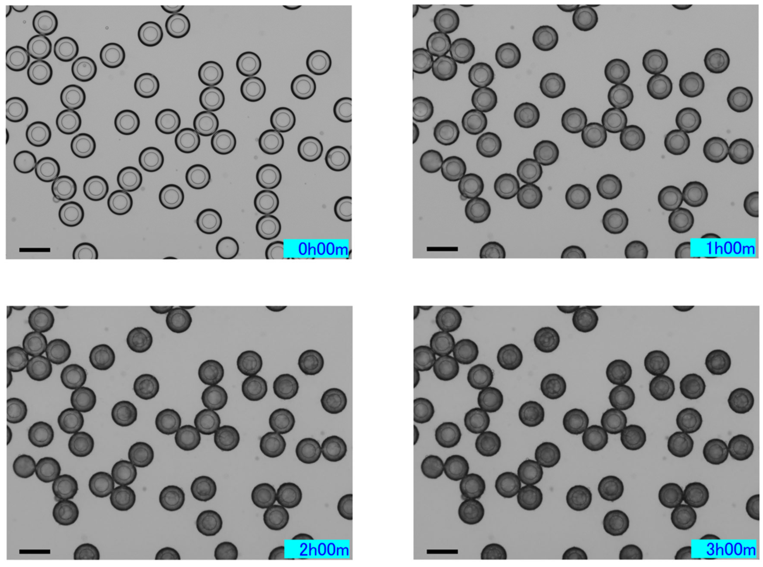 Applsci 15 05650 g006a