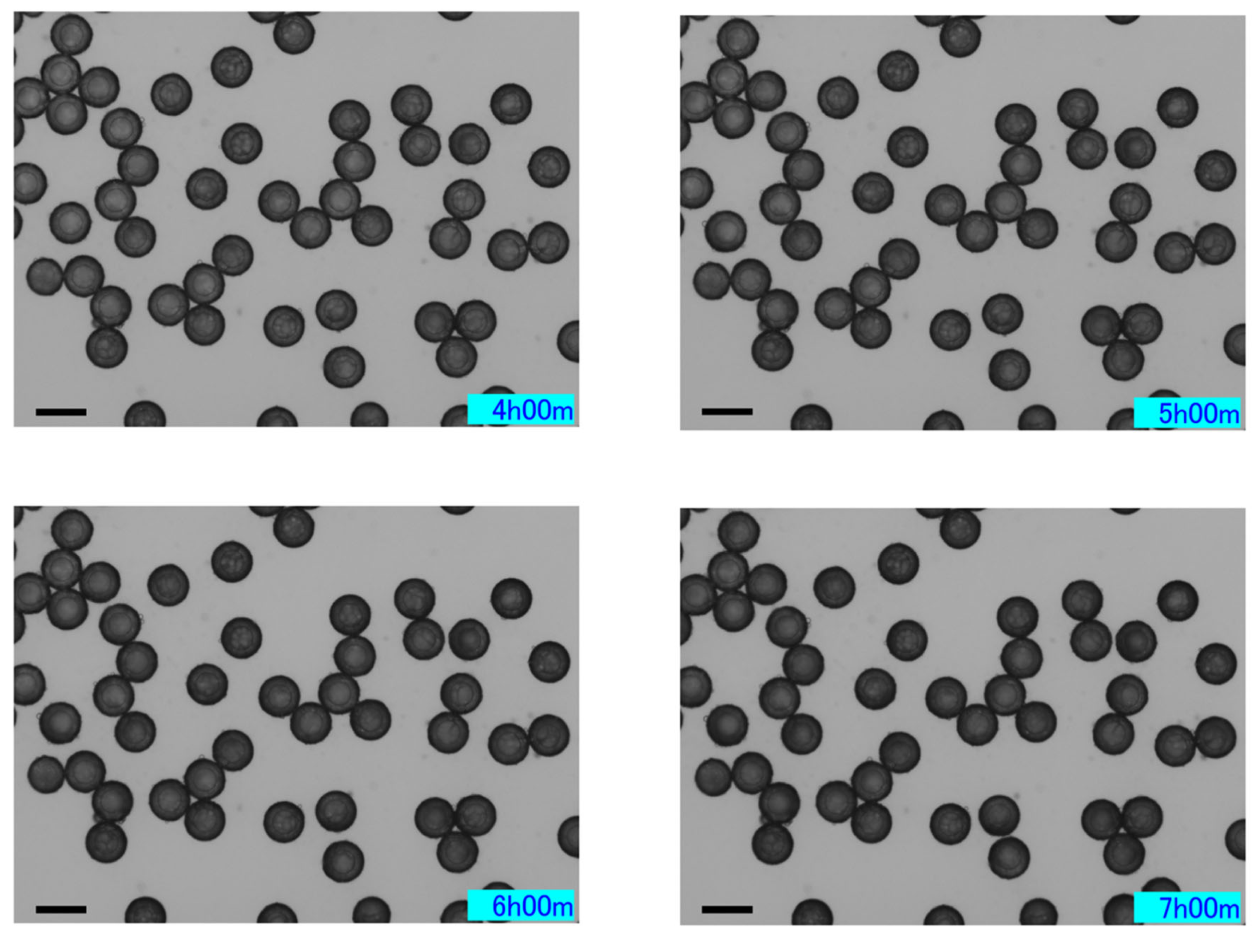 Applsci 15 05650 g006b