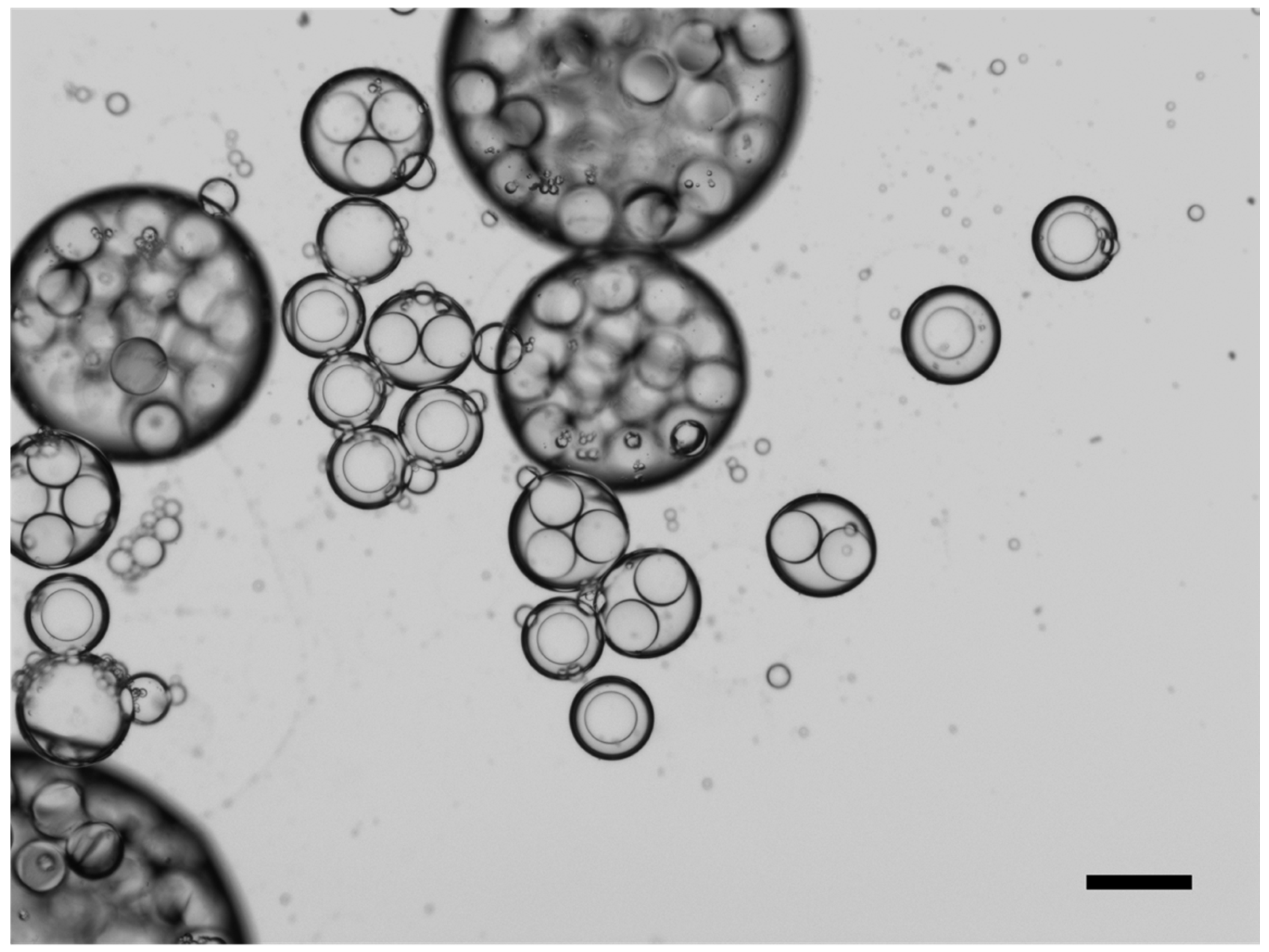 Applsci 15 05650 g007