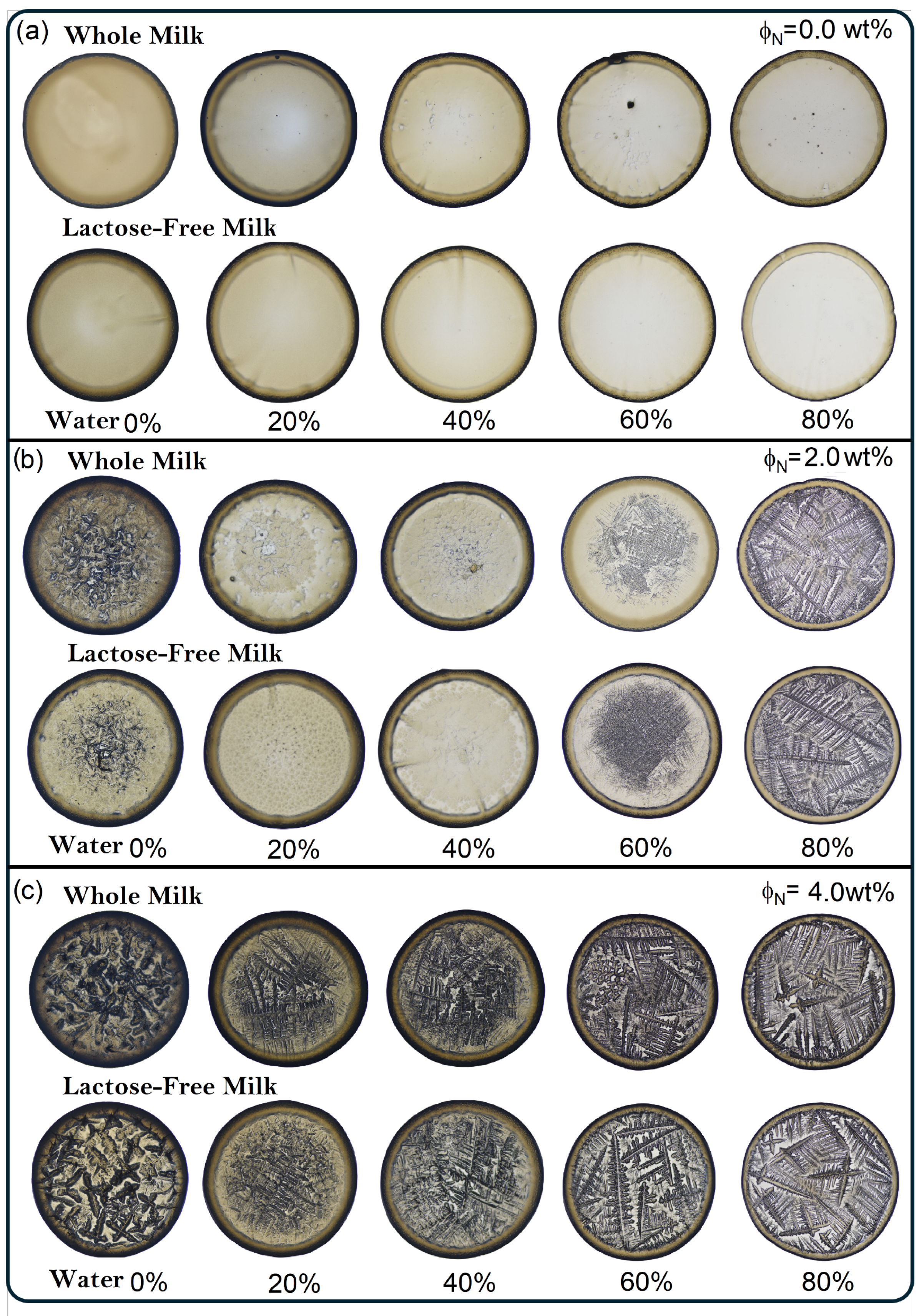 Applsci 15 05676 g007