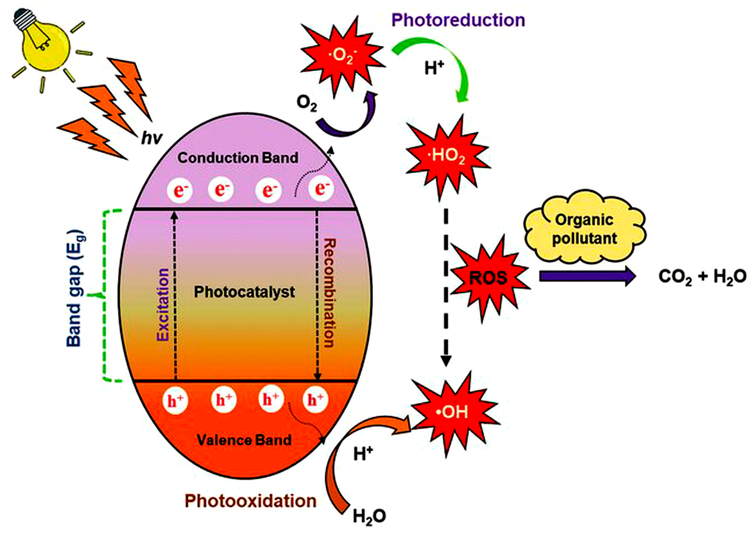 Applsci 15 05681 g003