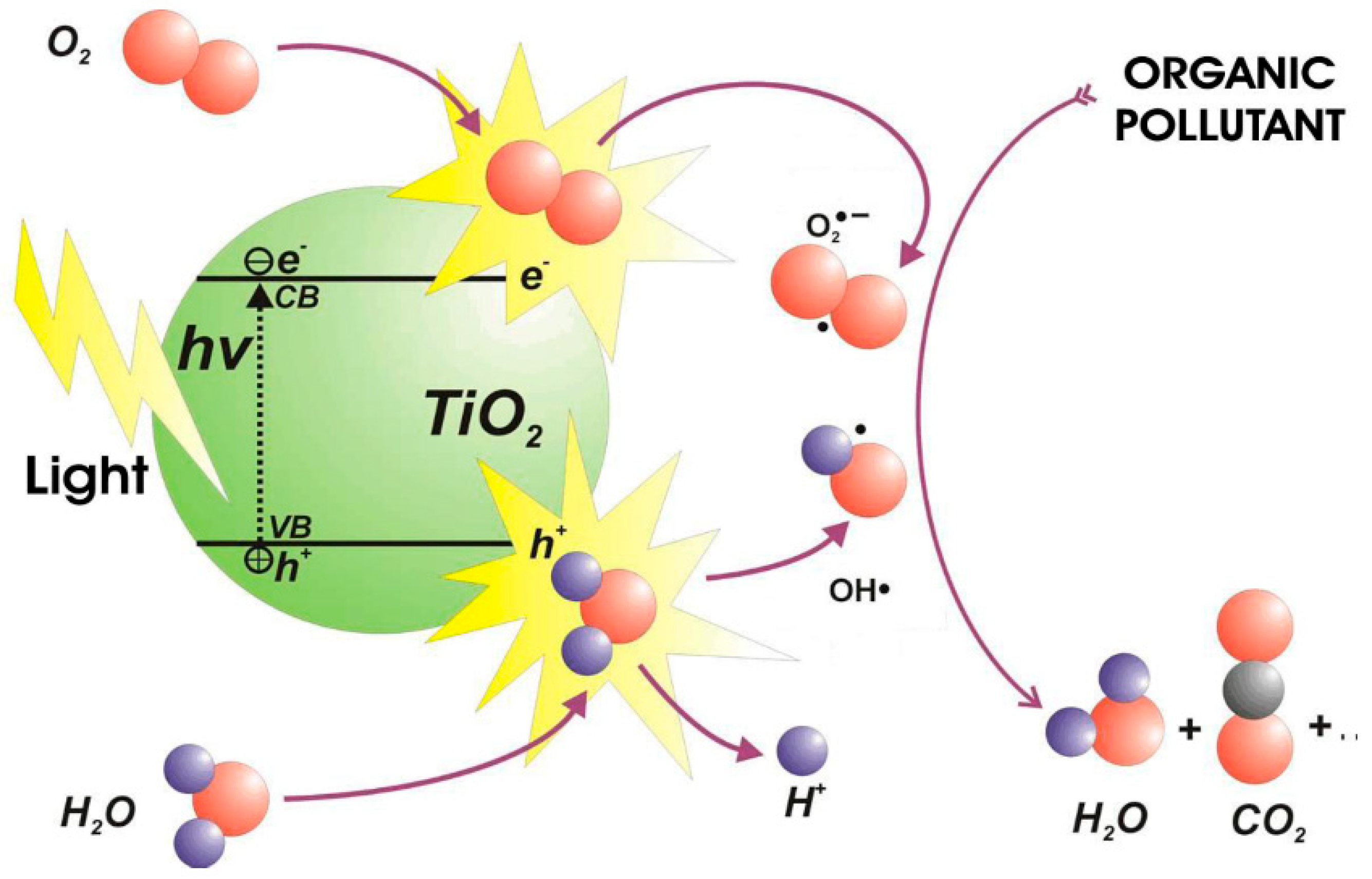 Applsci 15 05681 g005