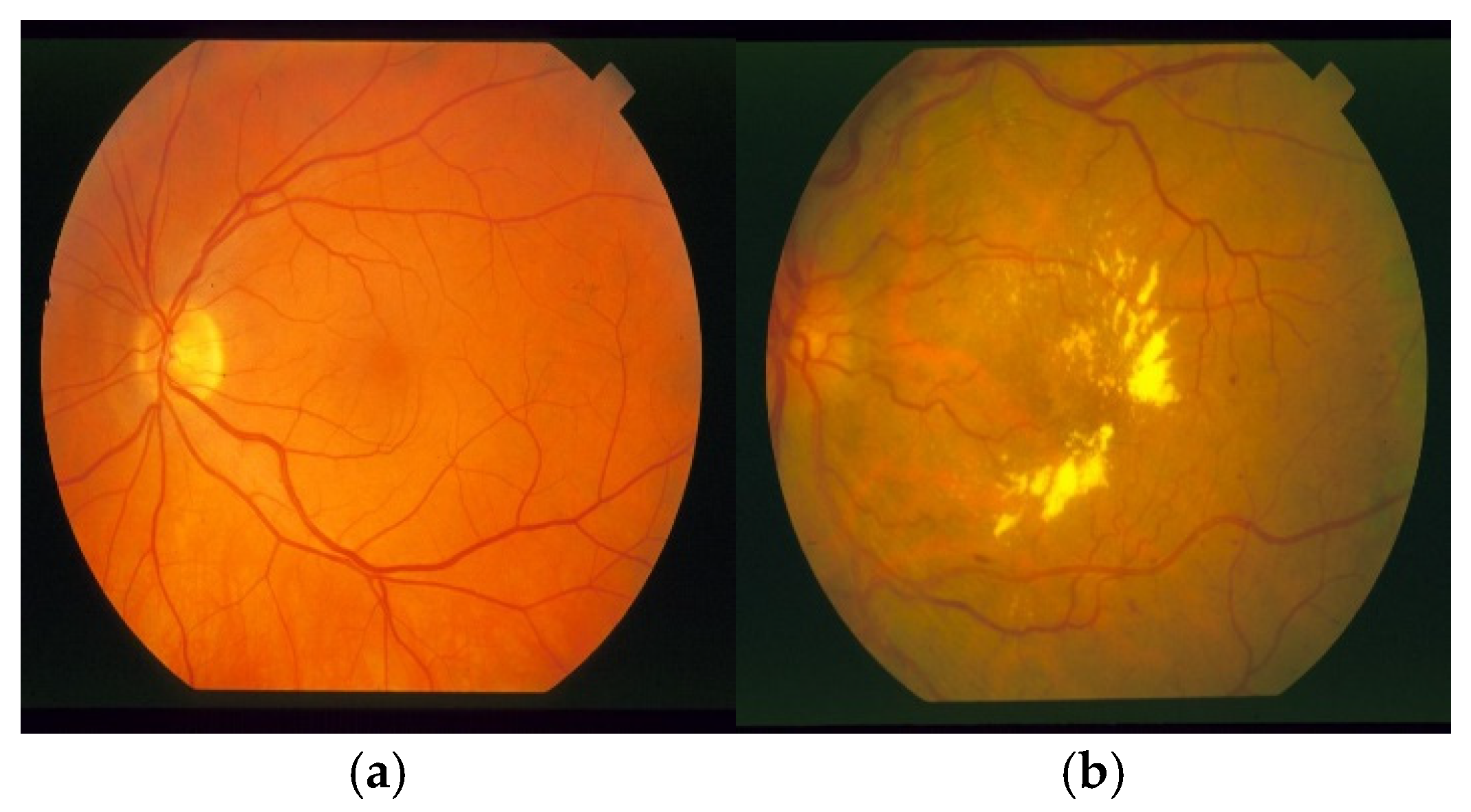 Applsci 15 05693 g002