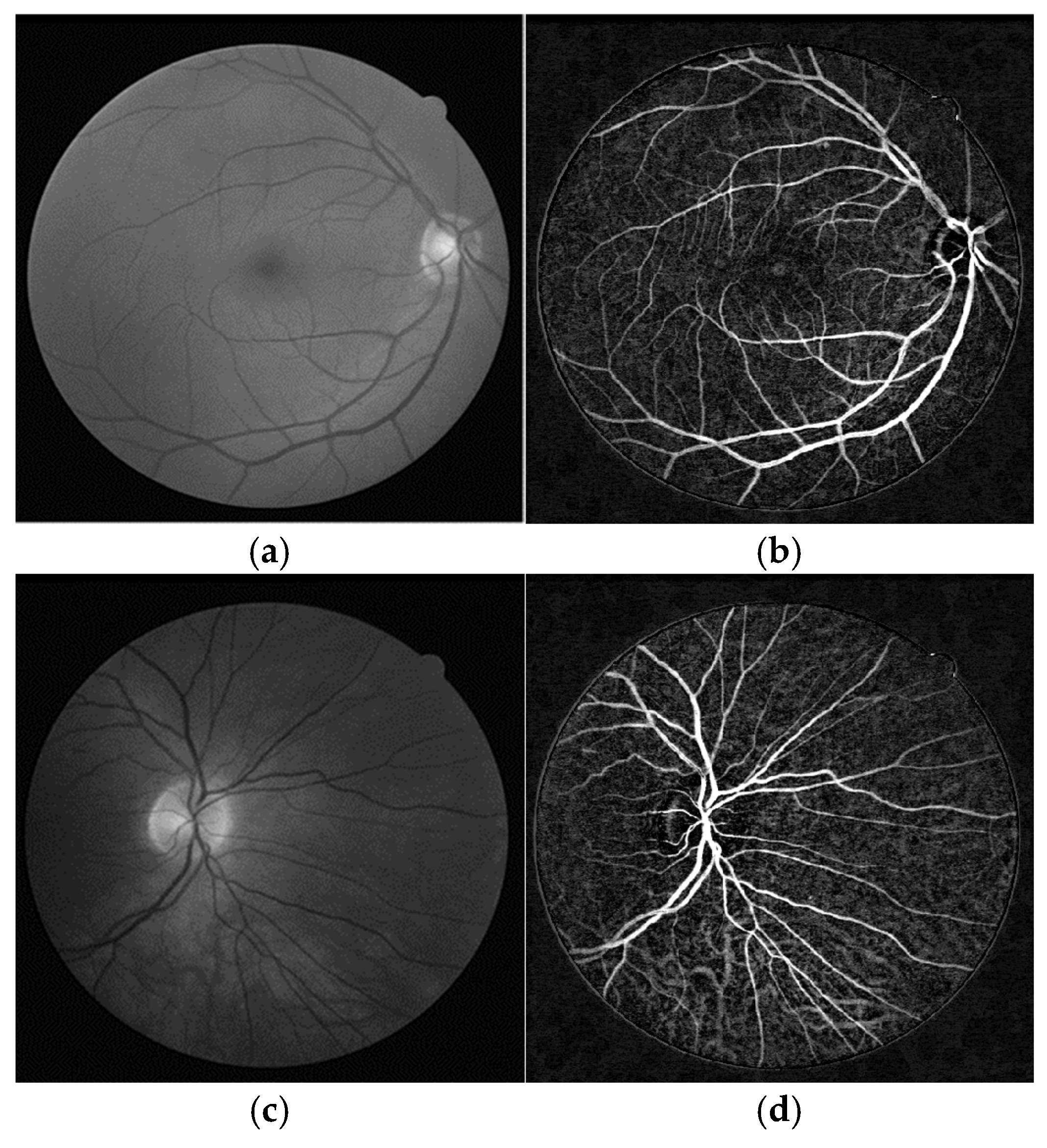 Applsci 15 05693 g003