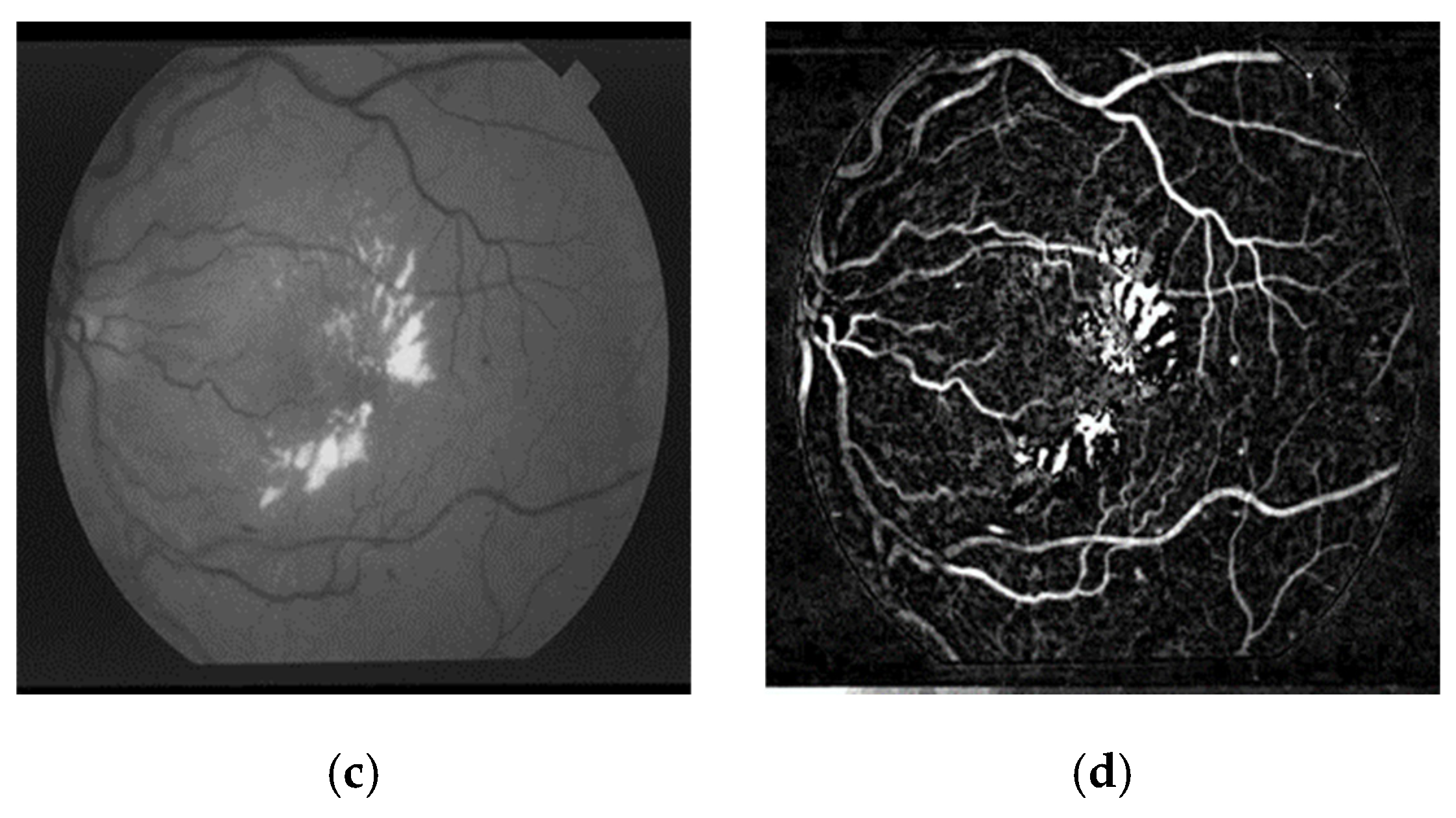 Applsci 15 05693 g004b