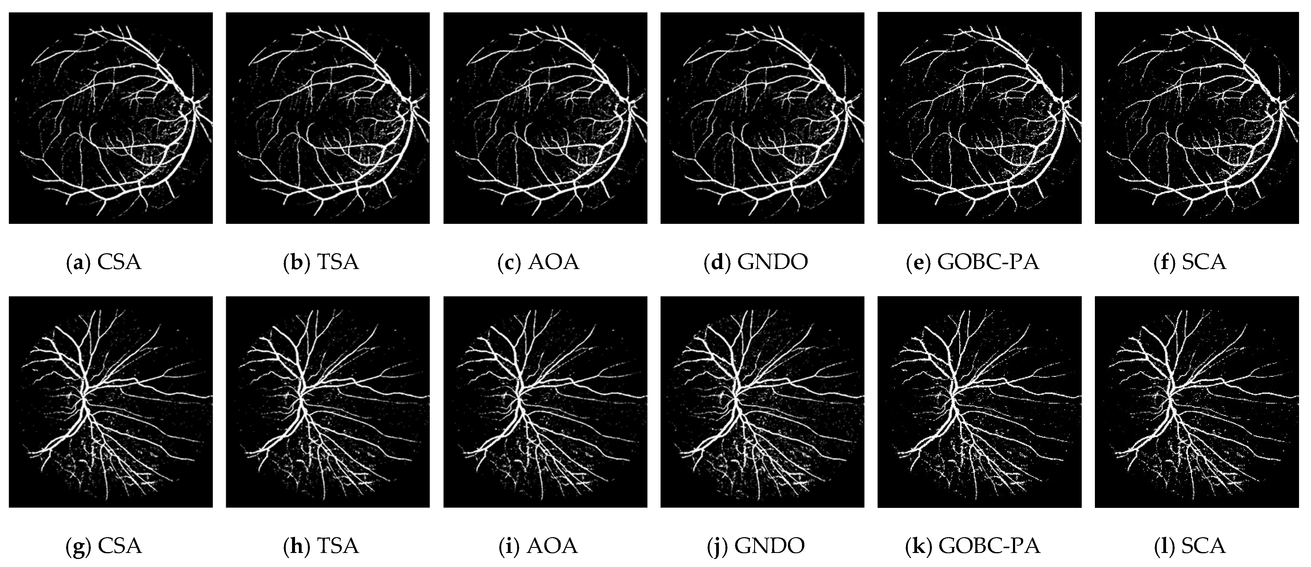 Applsci 15 05693 g005