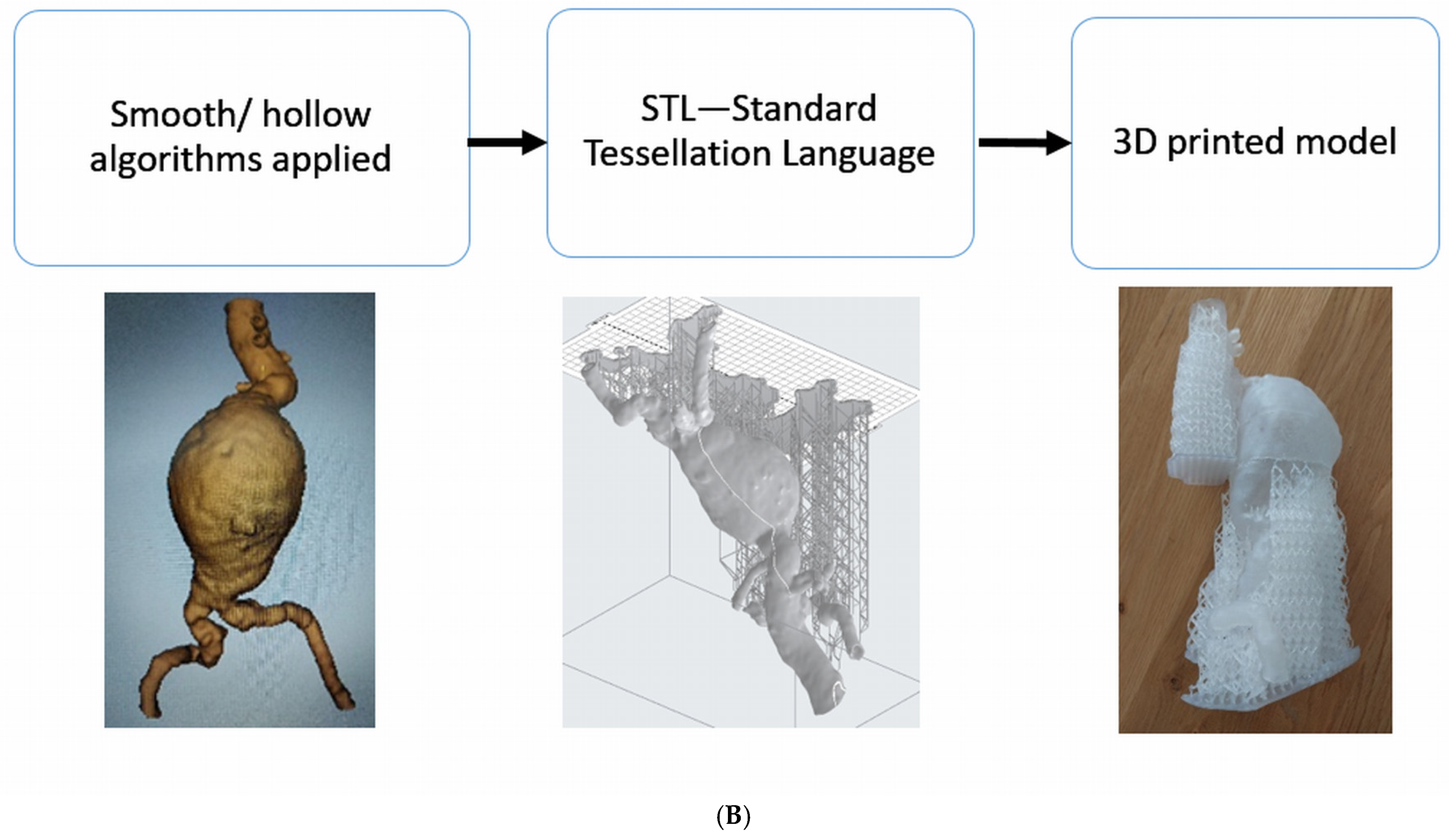 Applsci 15 05695 g001b