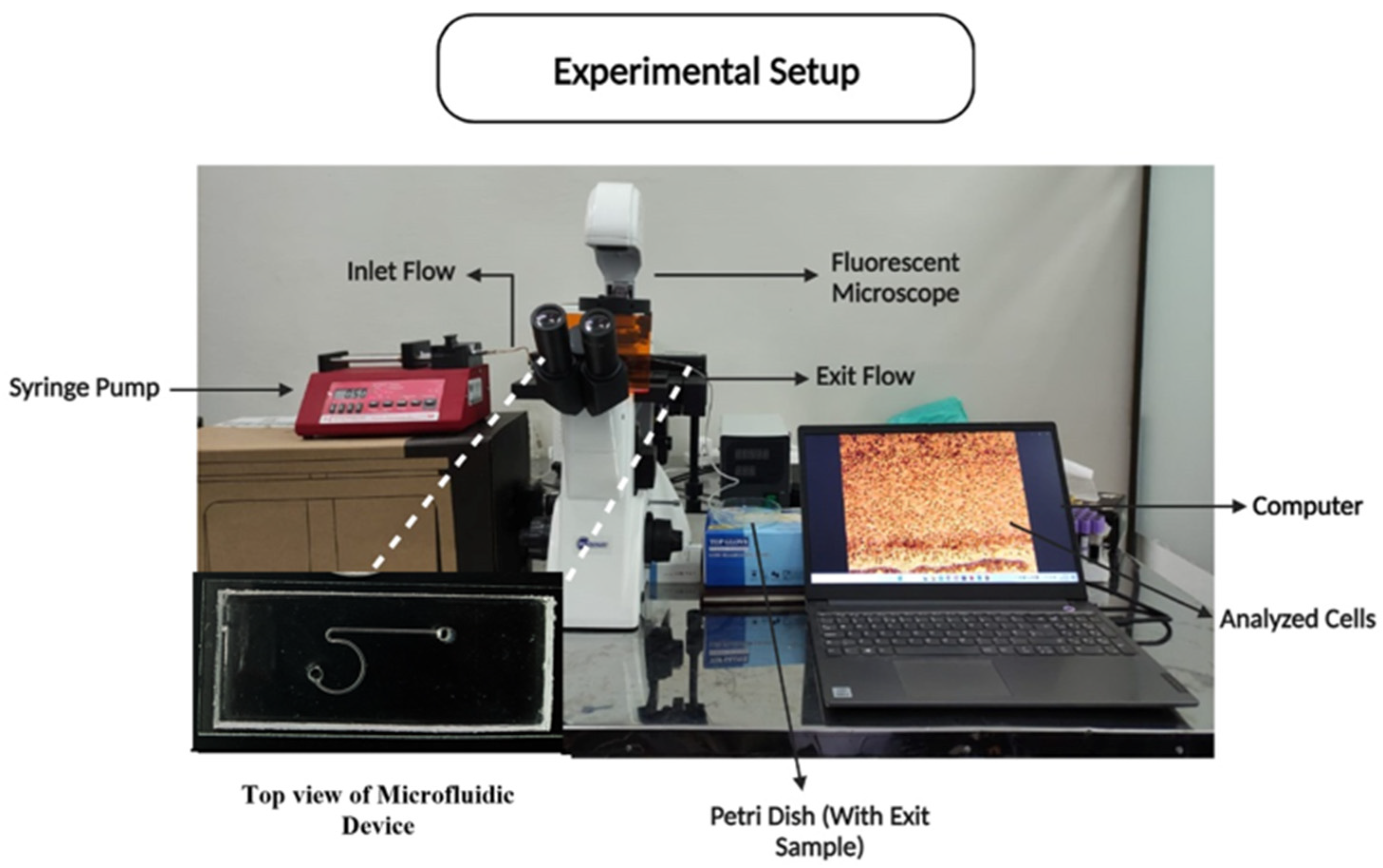 Applsci 15 05701 g003 Applsci 15 05701 g003