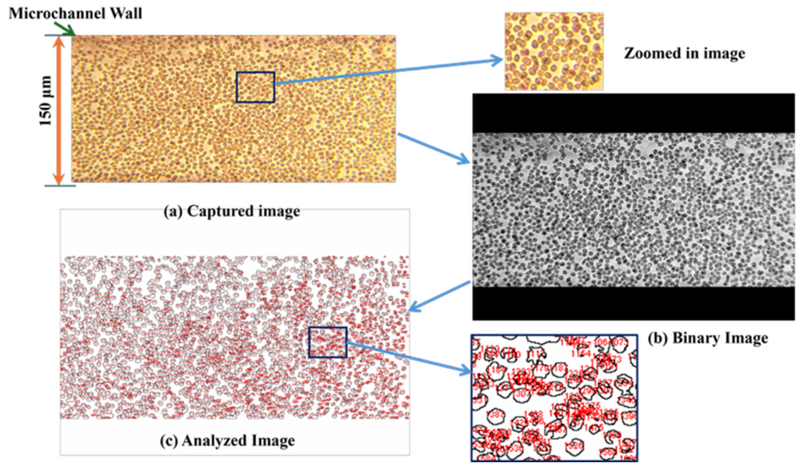 Applsci 15 05701 g005 Applsci 15 05701 g005