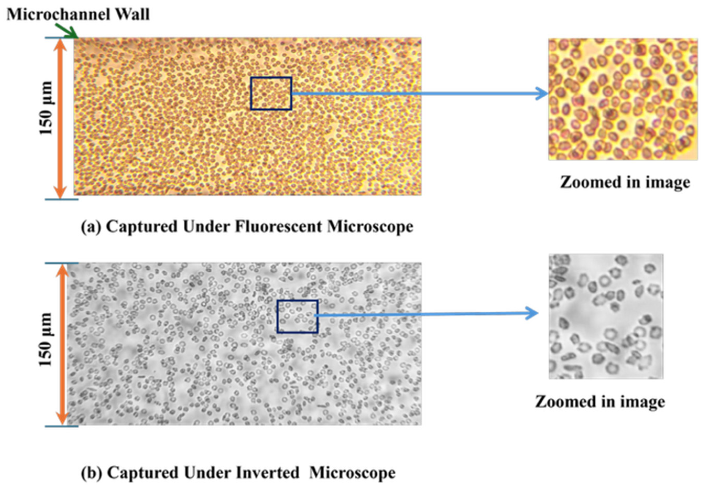 Applsci 15 05701 g007 Applsci 15 05701 g007
