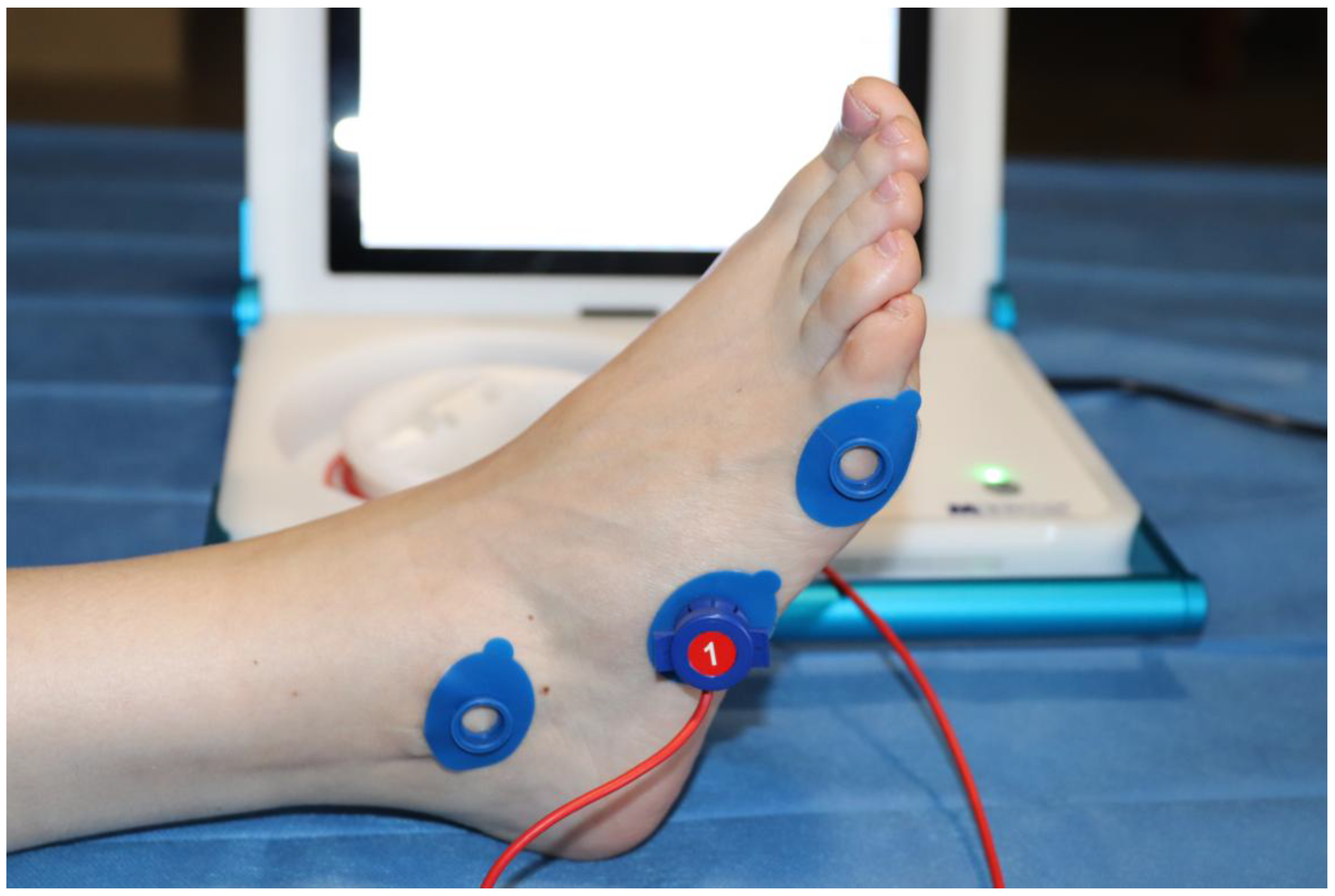 Applsci 15 05710 g003