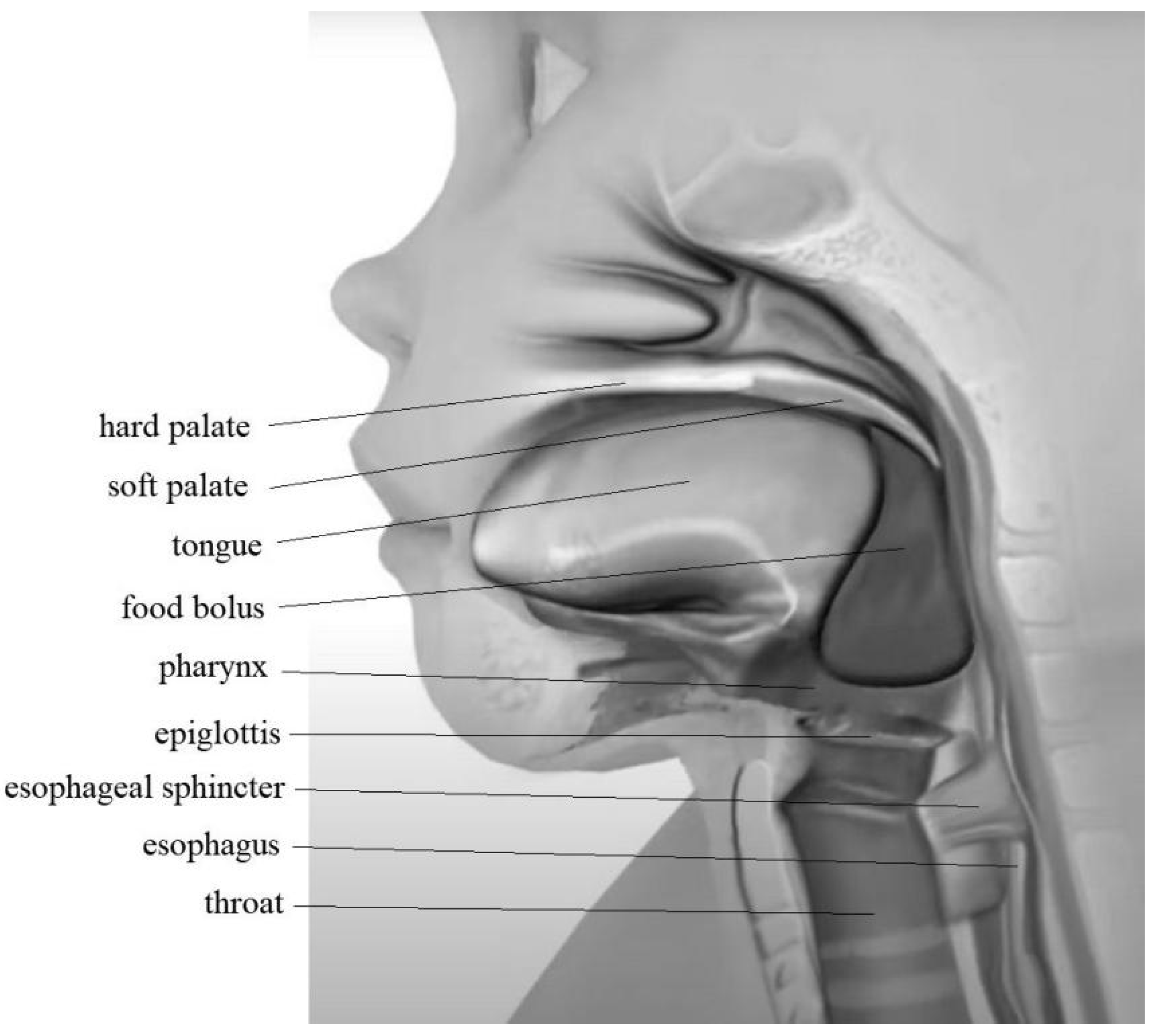 Applsci 15 05727 g002