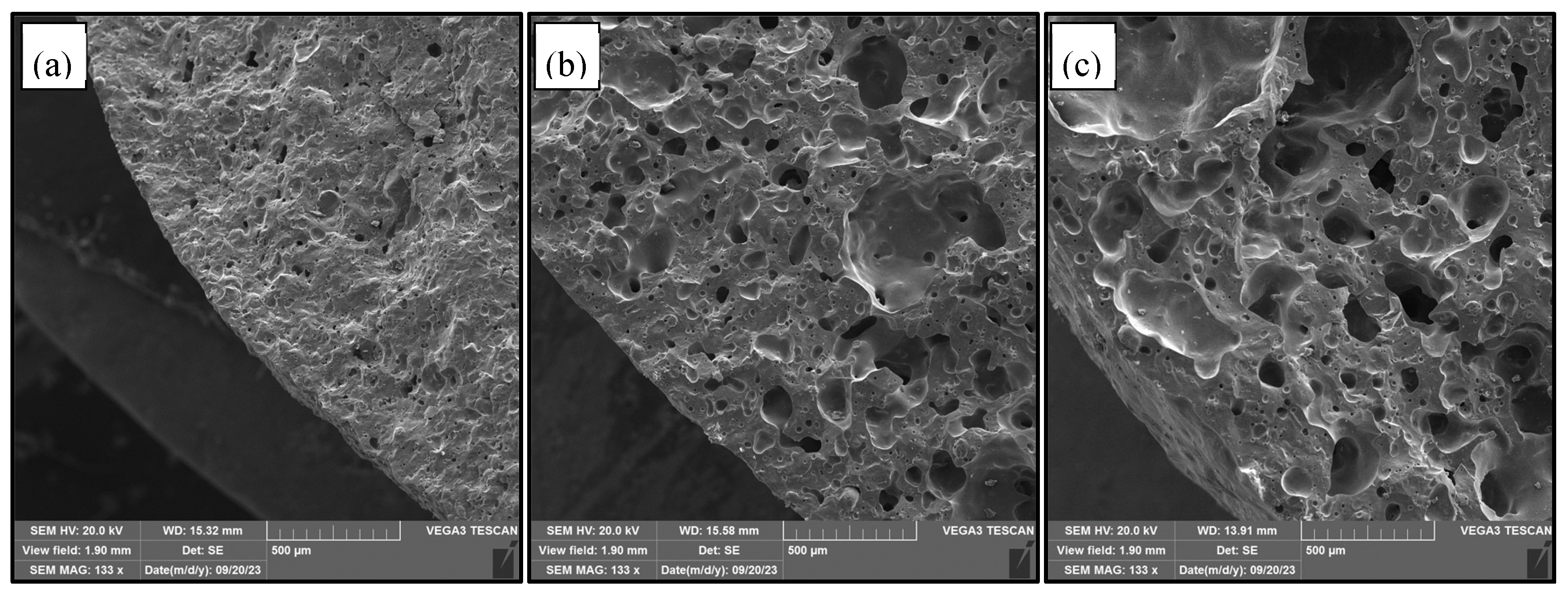 Applsci 15 05729 g010