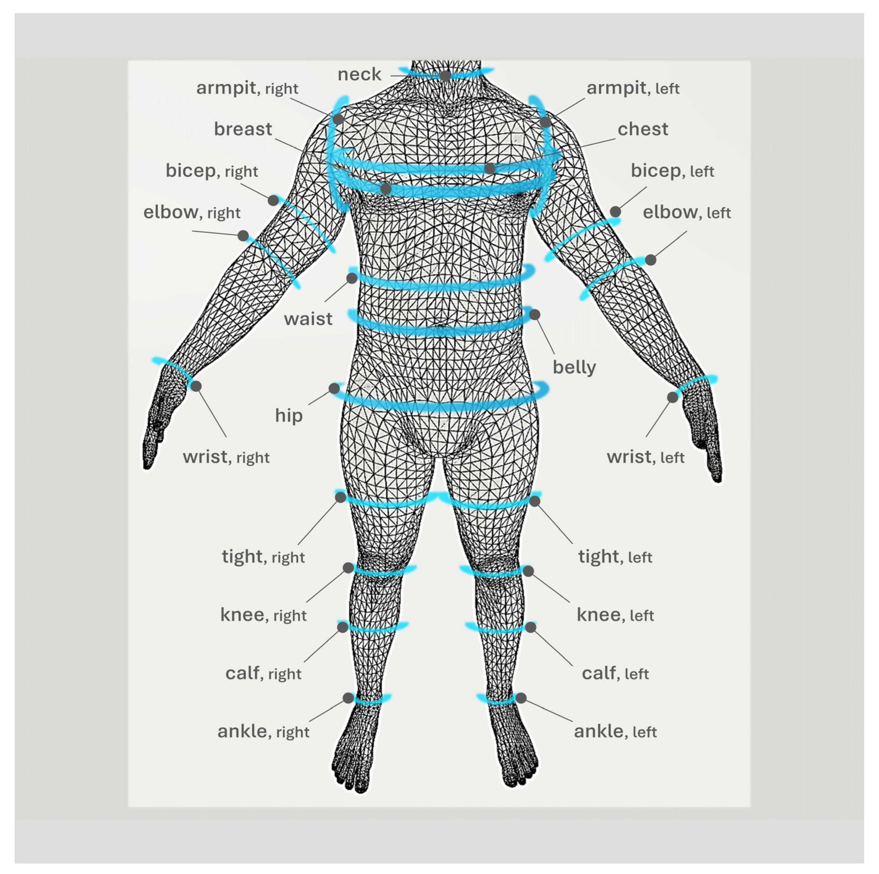 Applsci 15 05738 g001