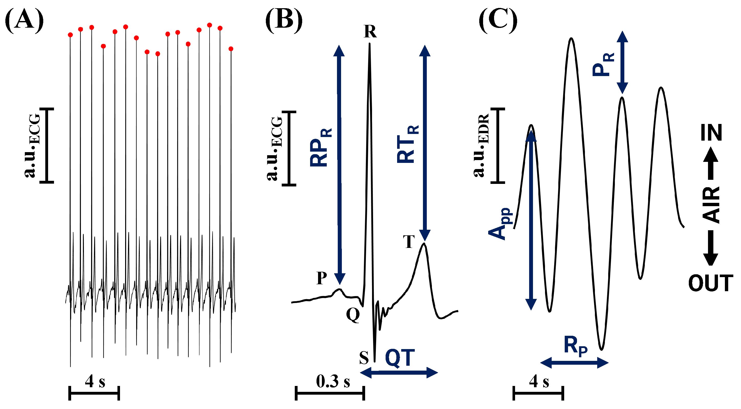 Applsci 15 05742 g002