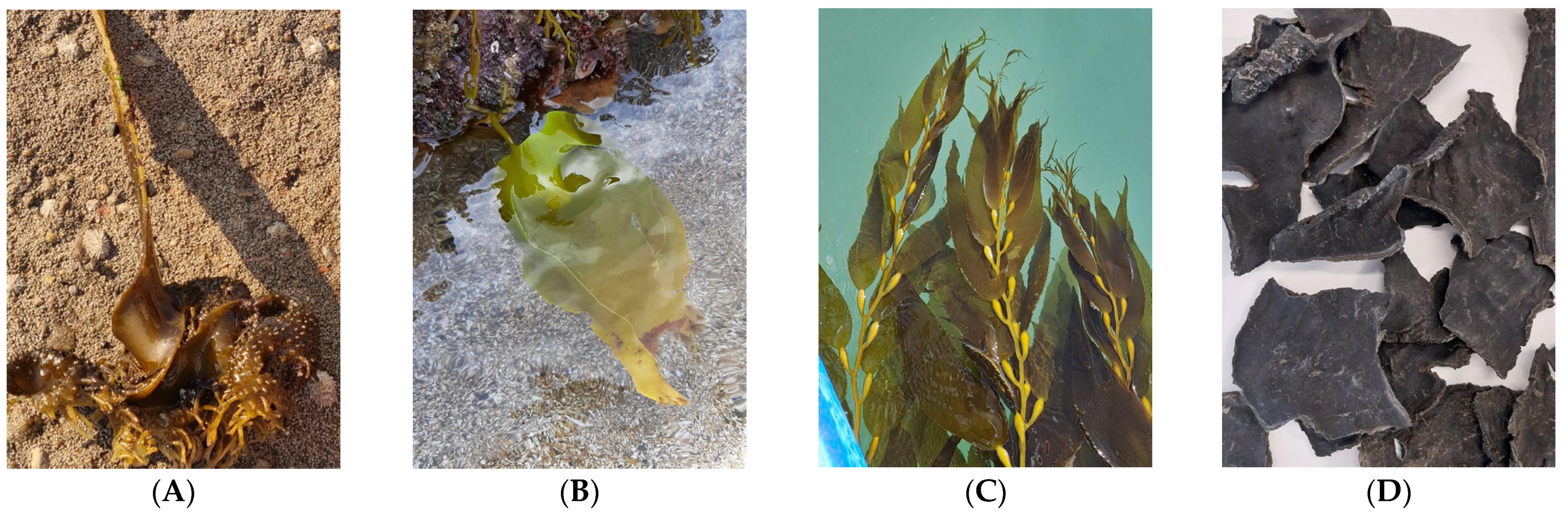 Applsci 15 05745 g001