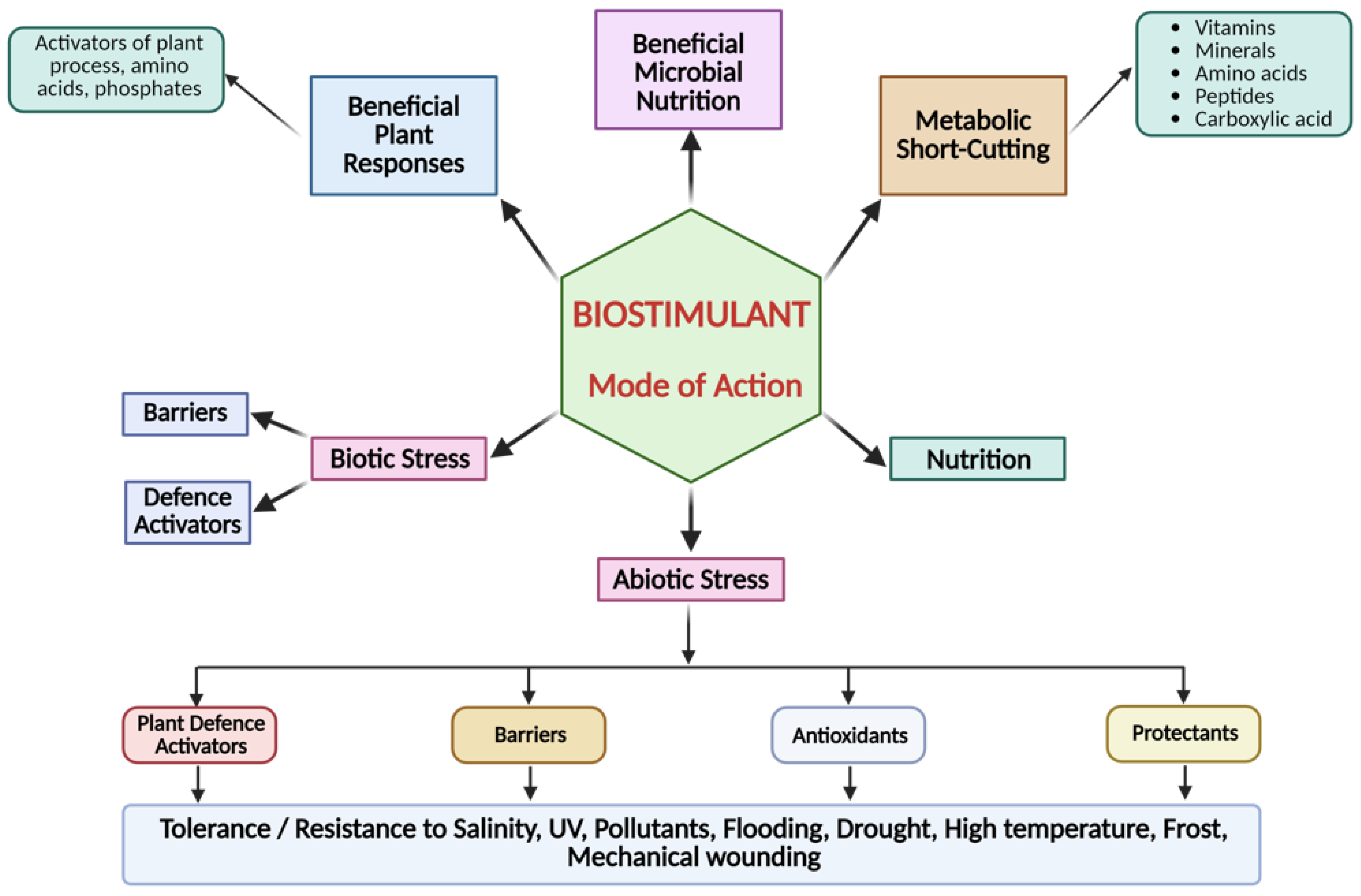 Applsci 15 05769 g001