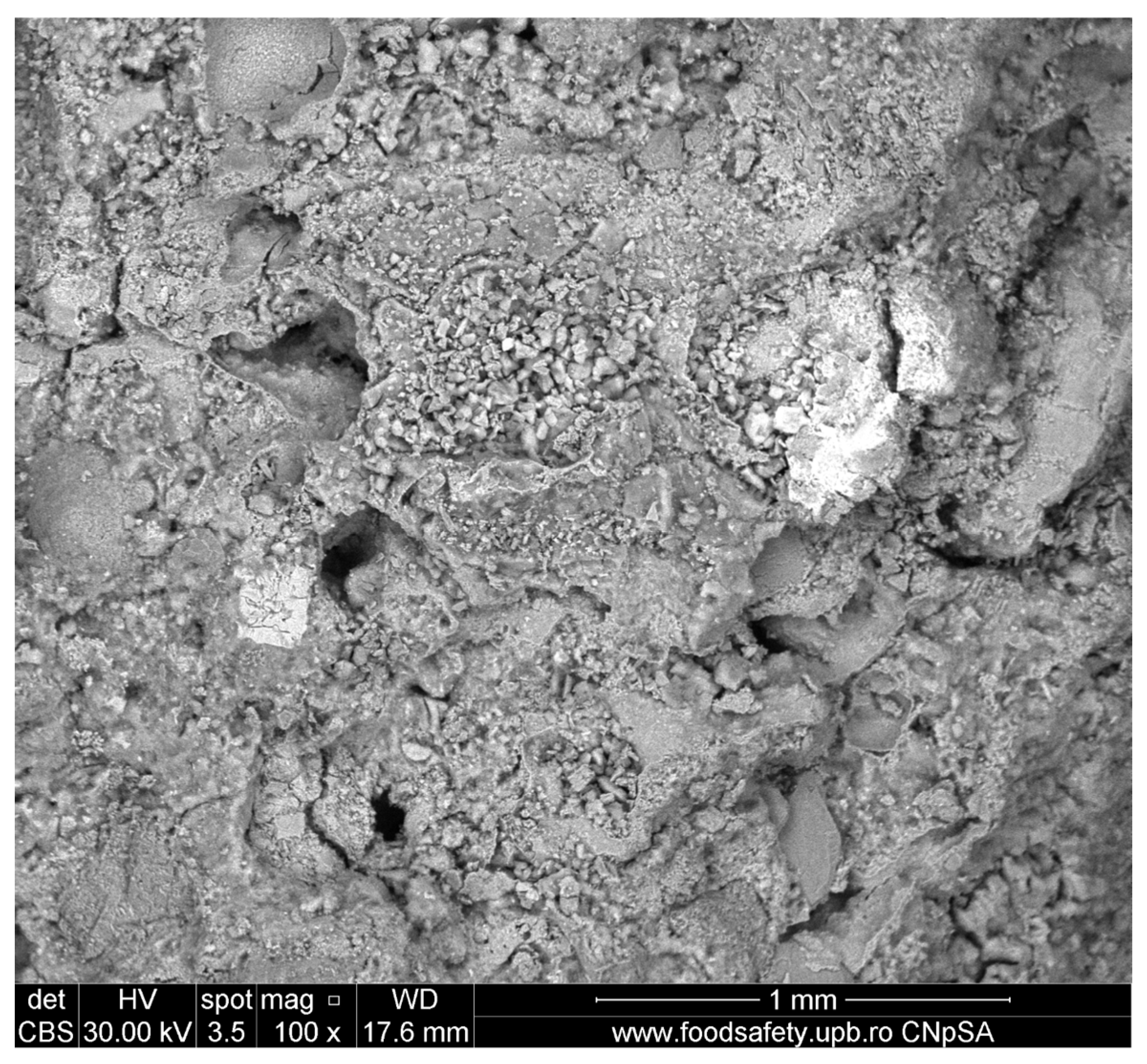 Applsci 15 05780 g005