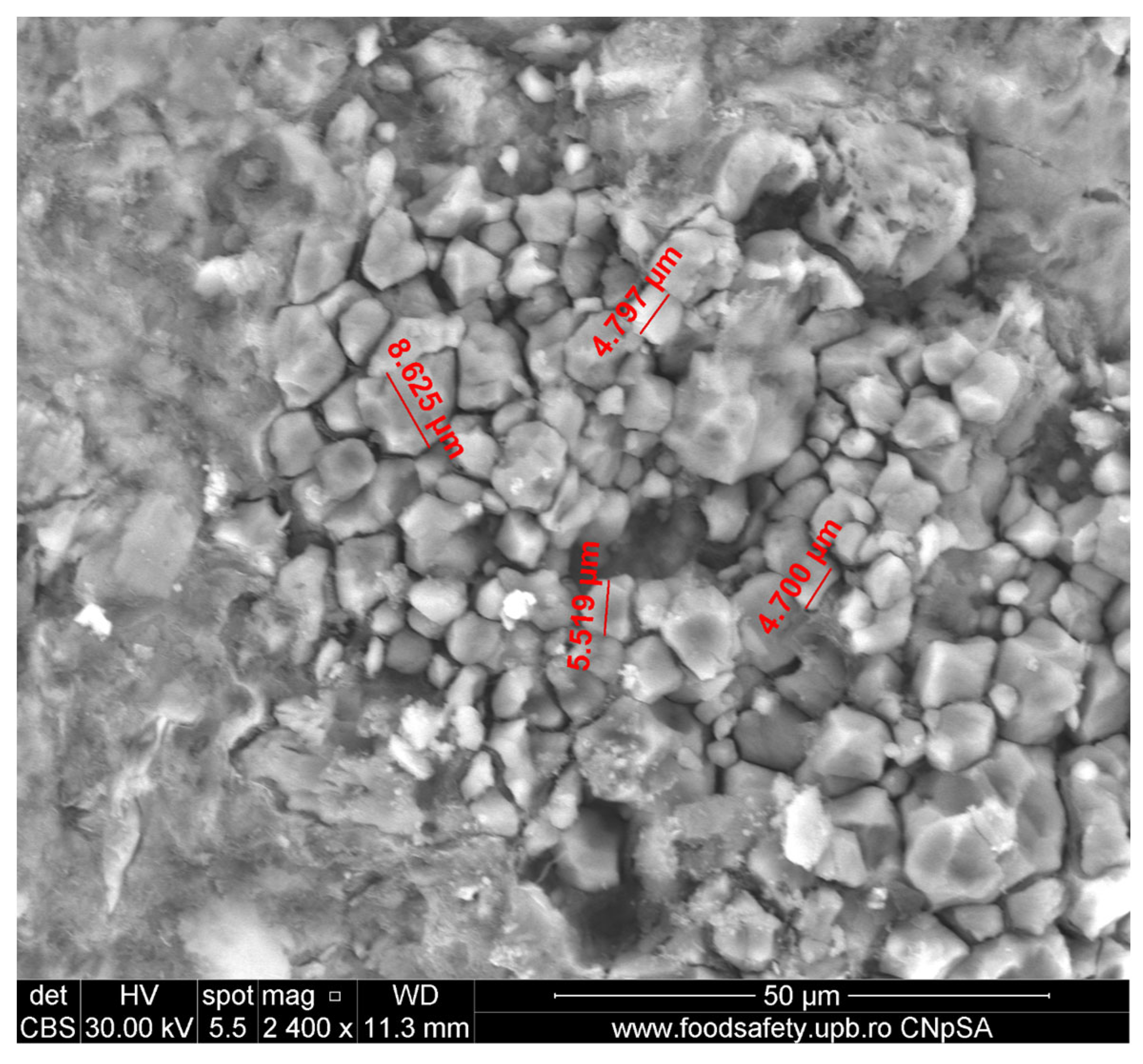 Applsci 15 05780 g006