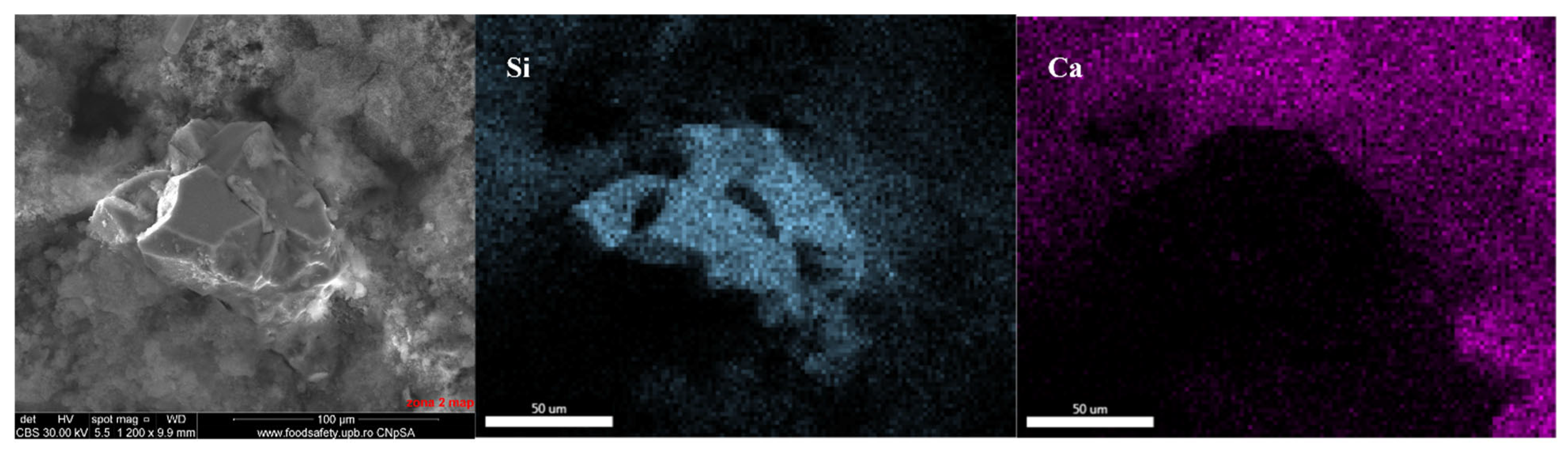 Applsci 15 05780 g007