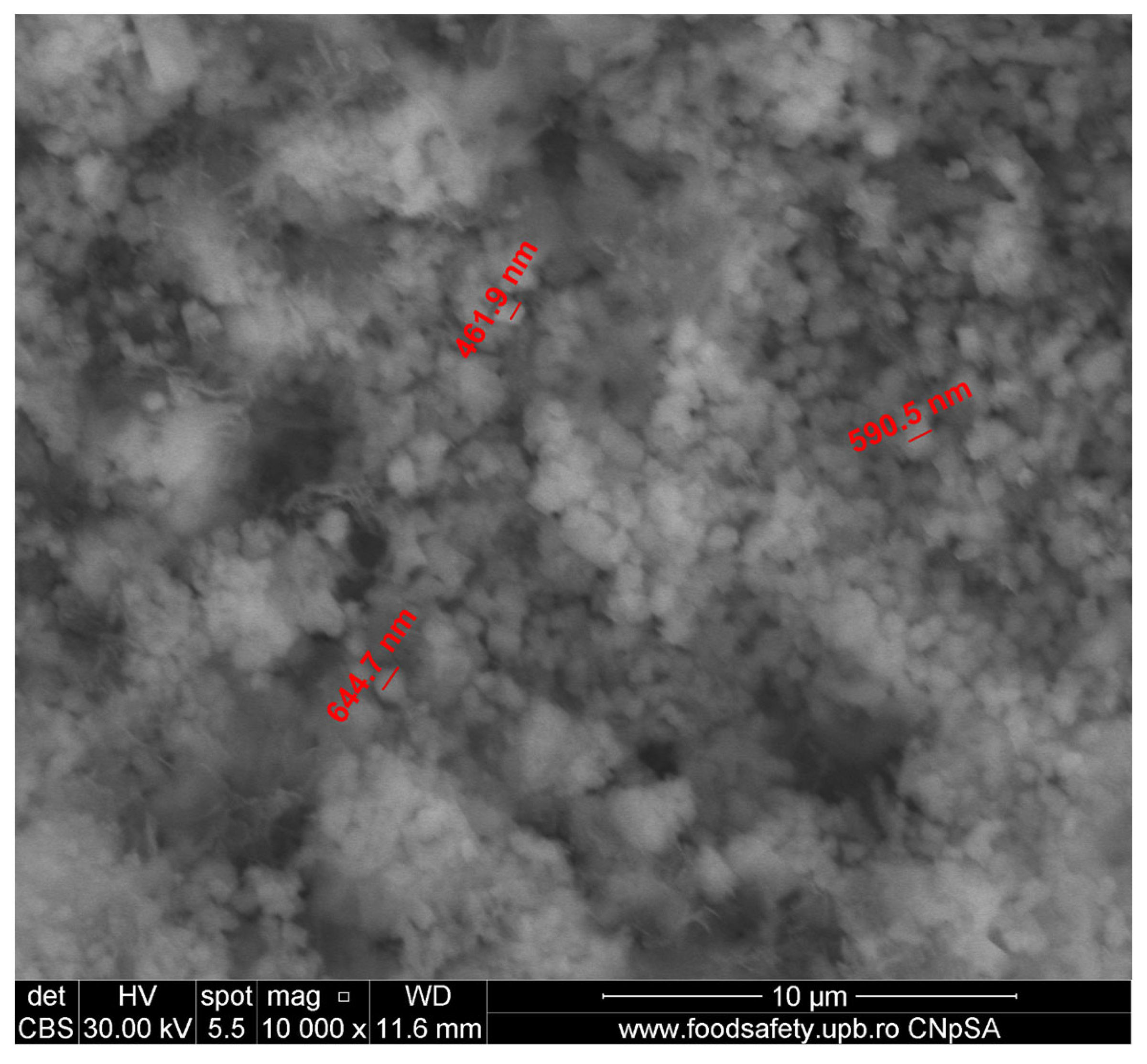 Applsci 15 05780 g010