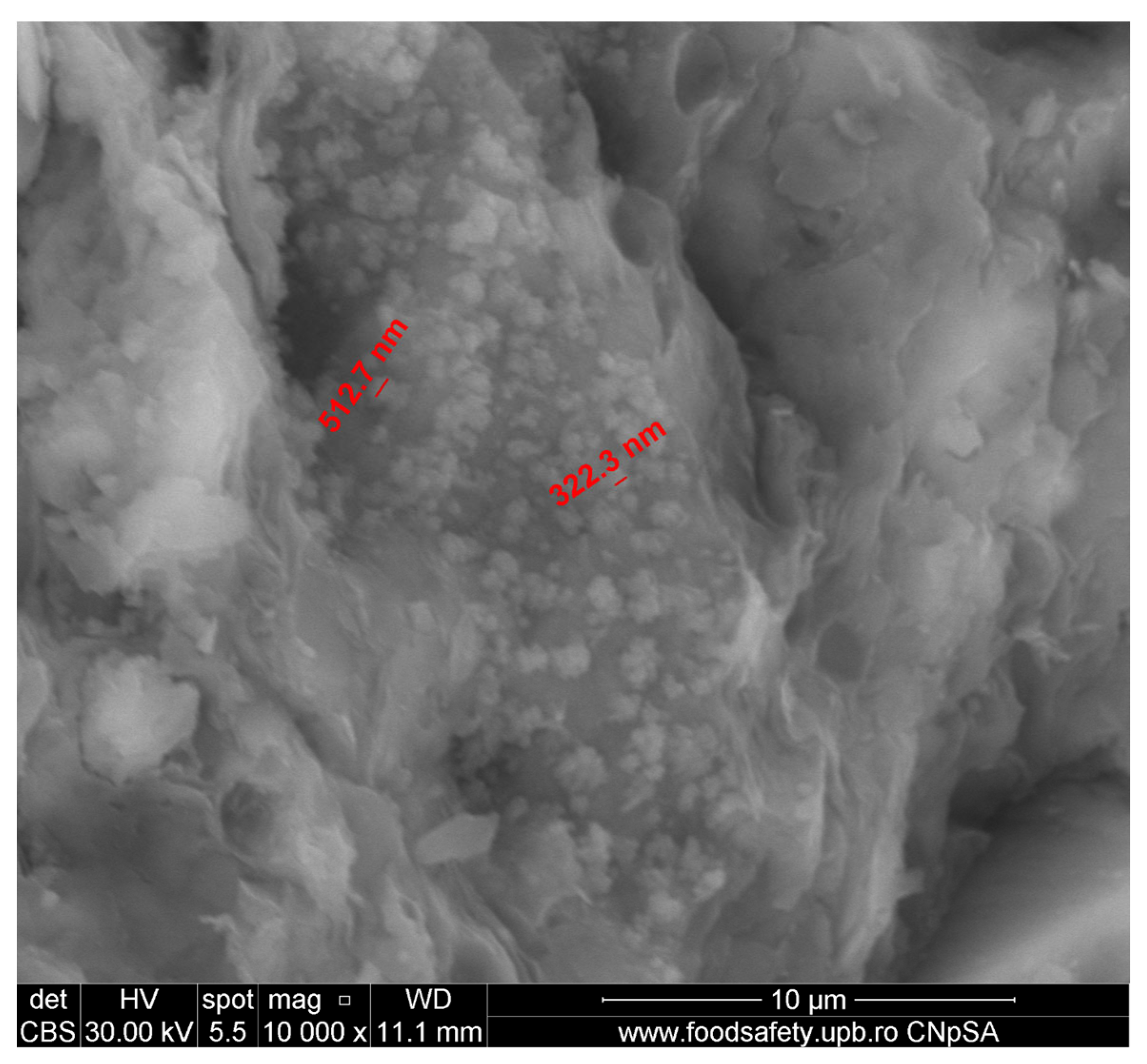 Applsci 15 05780 g011